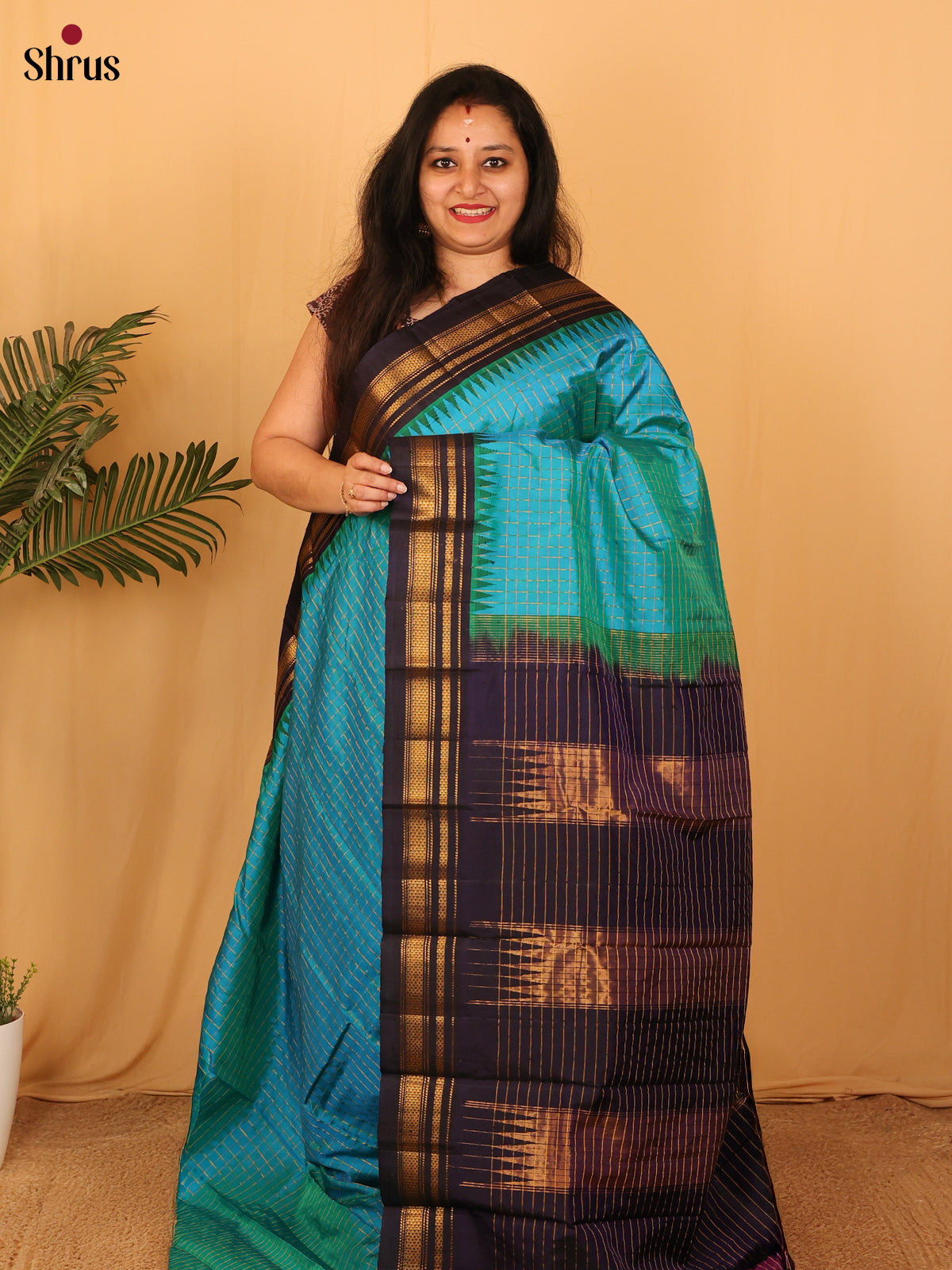 DAS09308 - Gadwal silk Saree