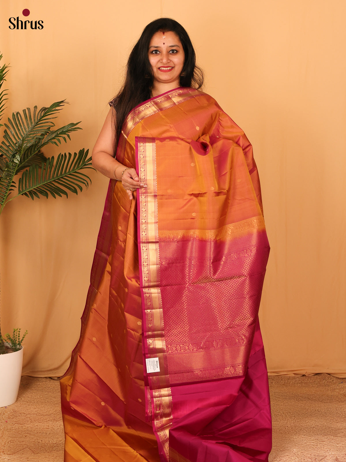 DAS11008 - Kanchipuram silk Saree