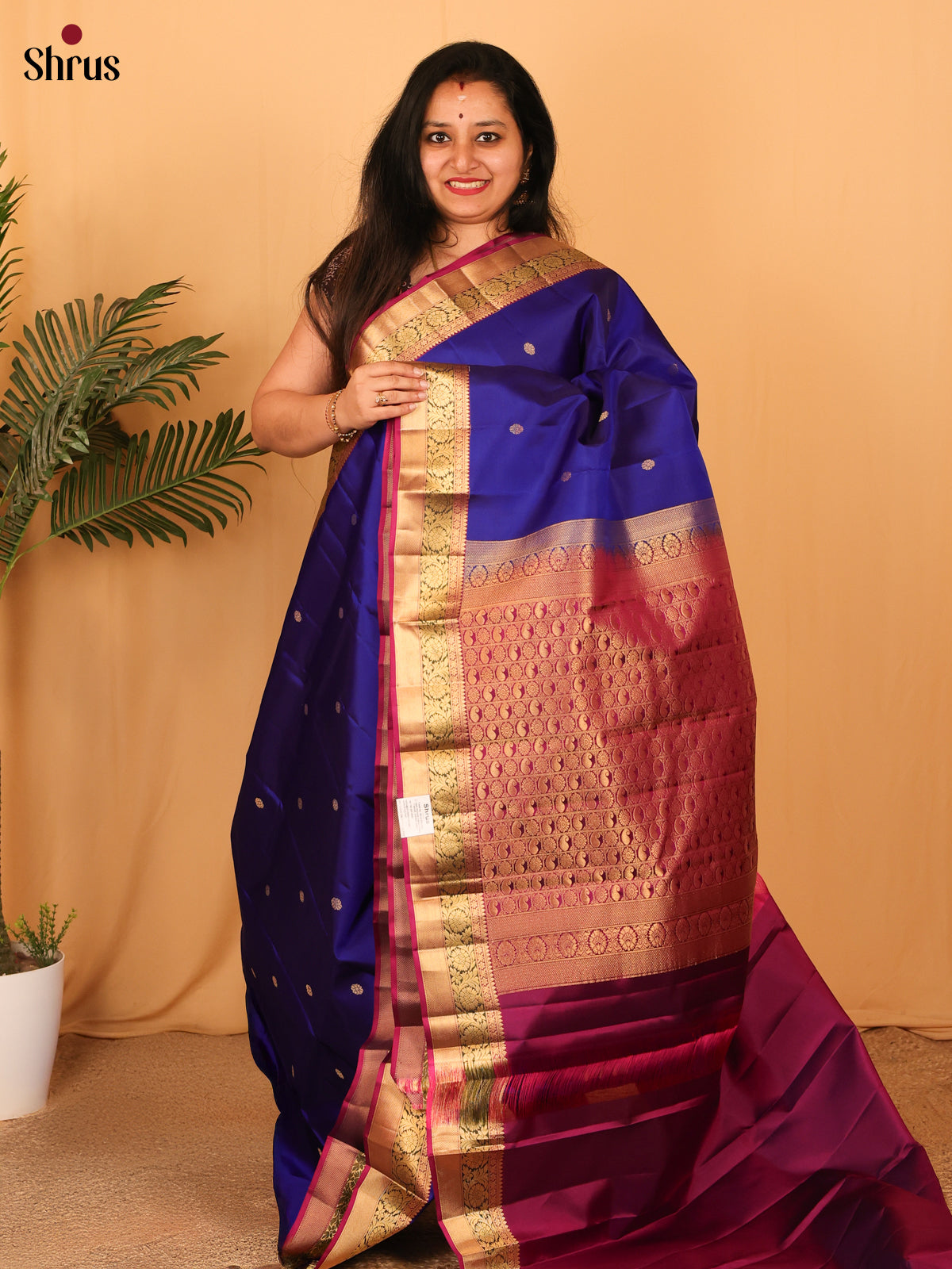 DAS11022 - Kanchipuram silk Saree