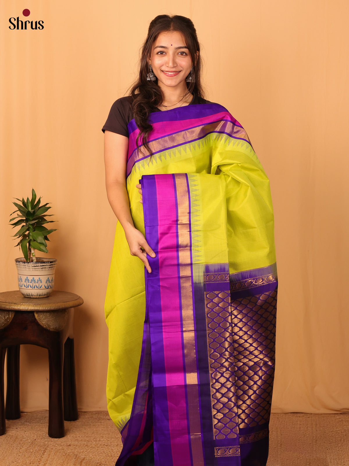 Green & Violet- Silk Cotton Saree