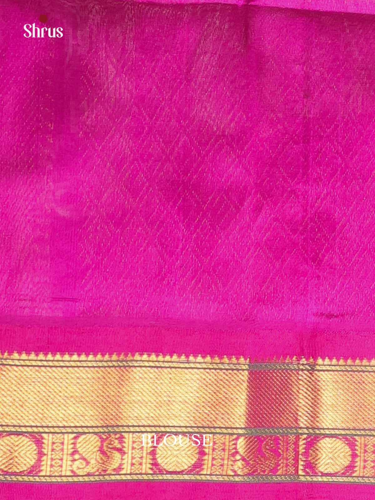 Parrot Green & Majenta - Silk Cotton Saree - Shop on Shrus.com