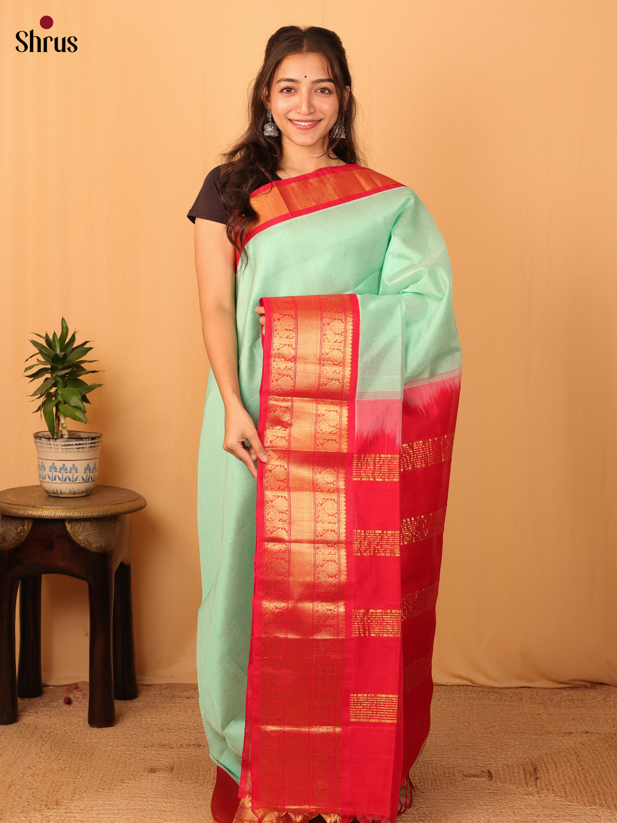 Ice Green & Red - Silk Cotton Saree