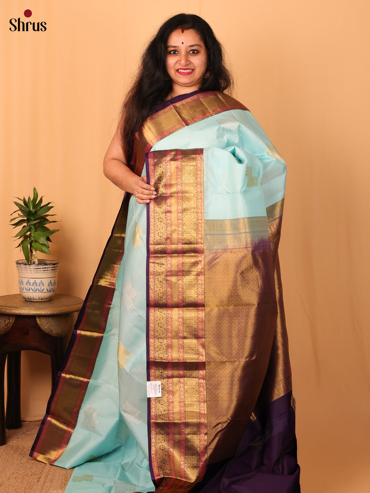 Pastel Blue & Violet - Kanchipuram silk Saree - Shop on Shrus.com