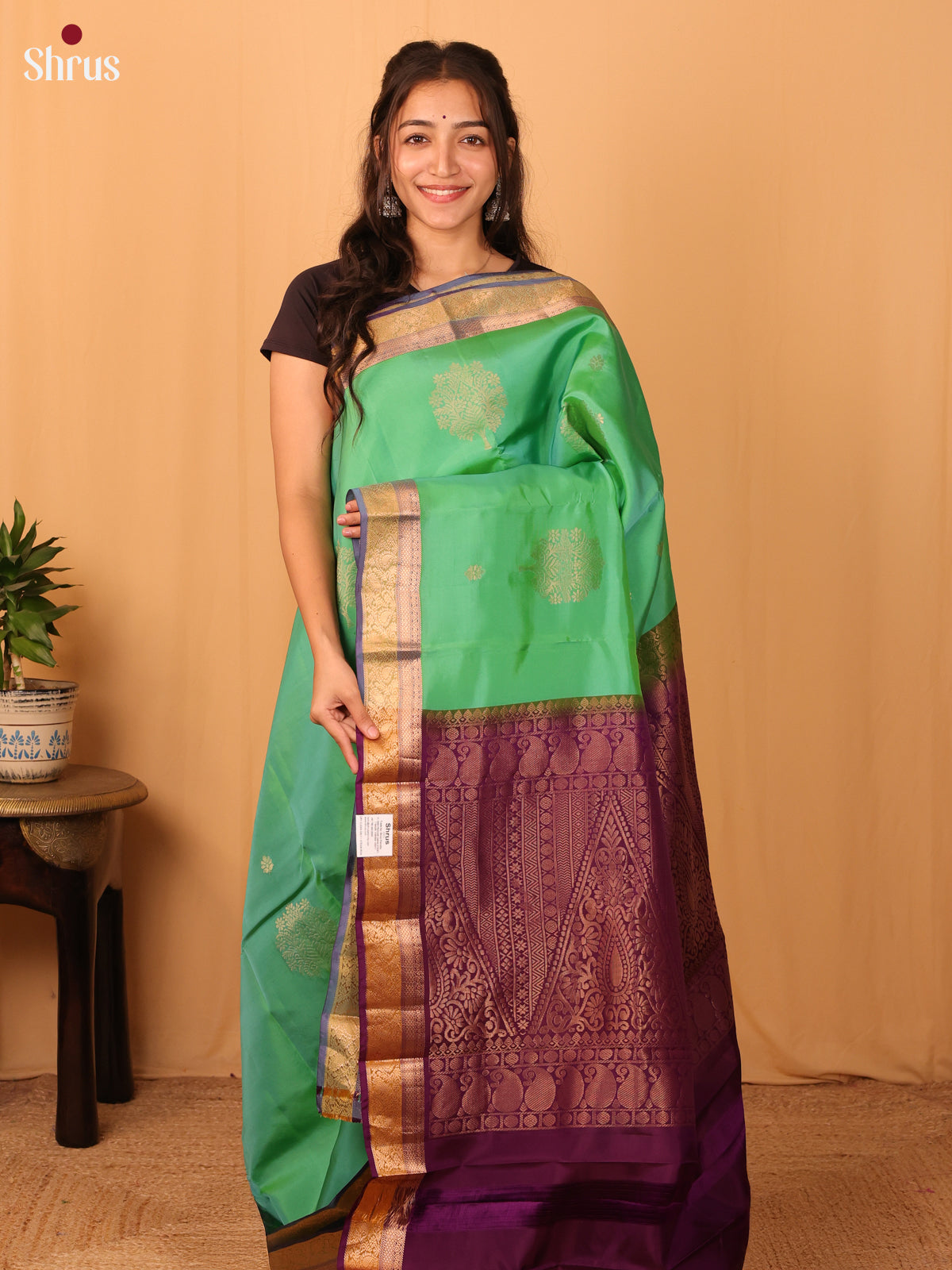 DAS17072 - Kanchipuram-halfpure Saree