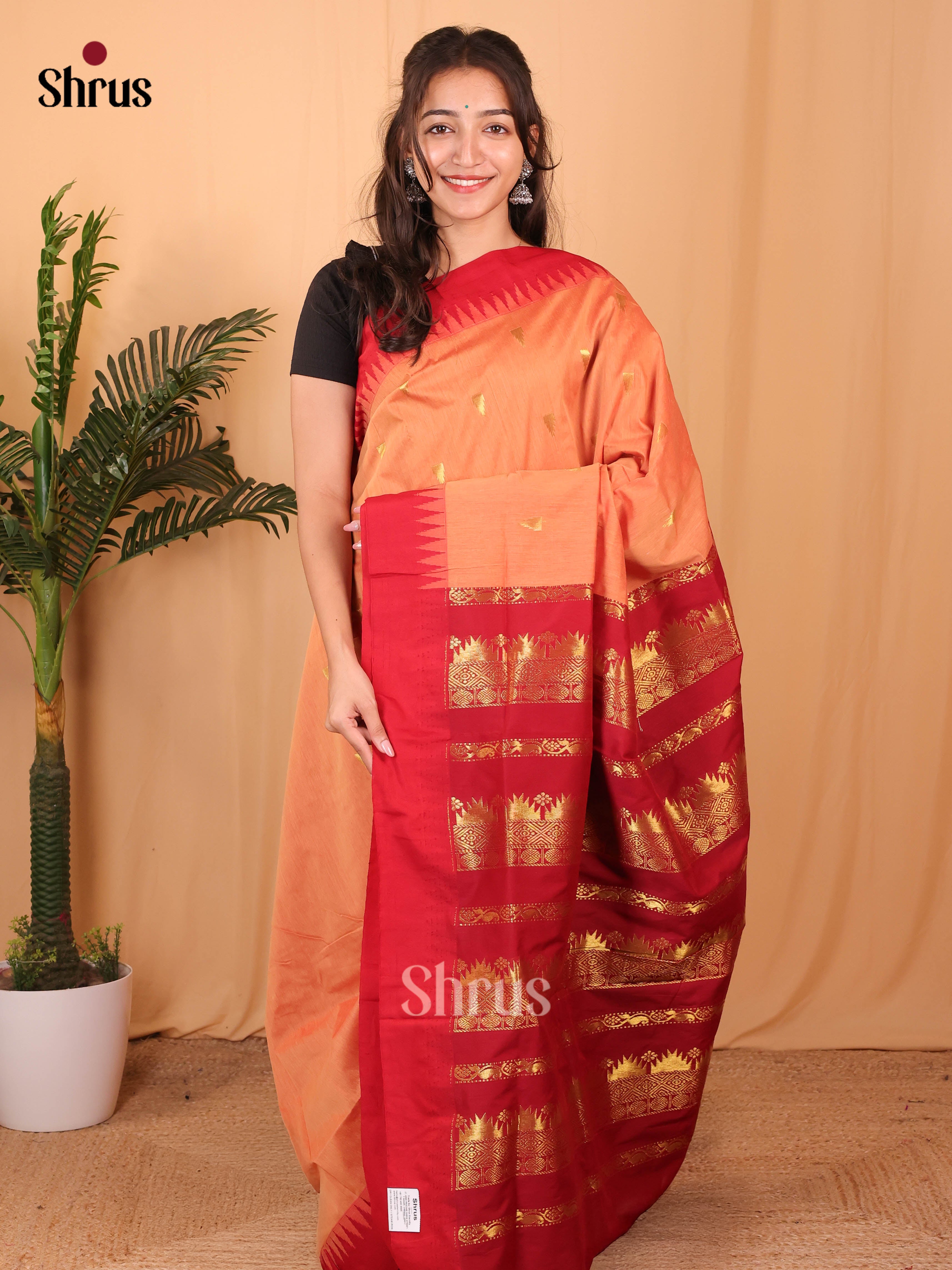 Brick & Maroon - Kalyani Cotton Saree - Shop on Shrus.com