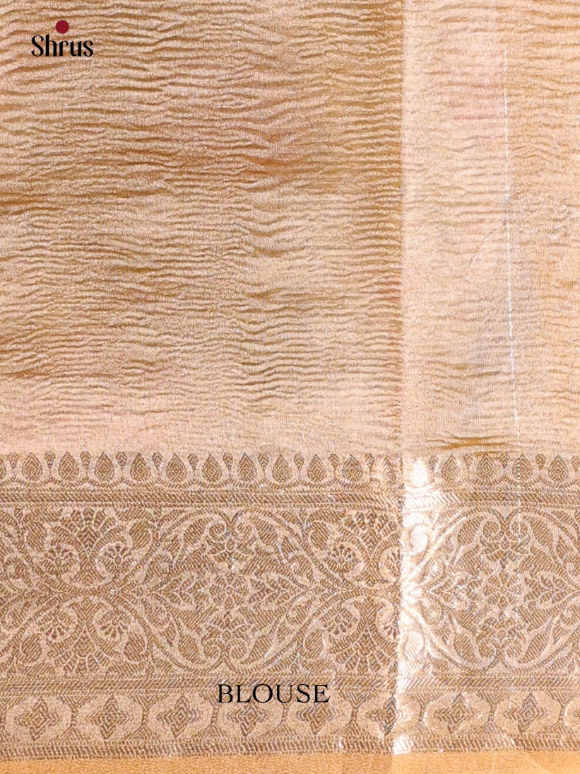 Beige - Bamboo silk Saree - Shop on Shrus.com
