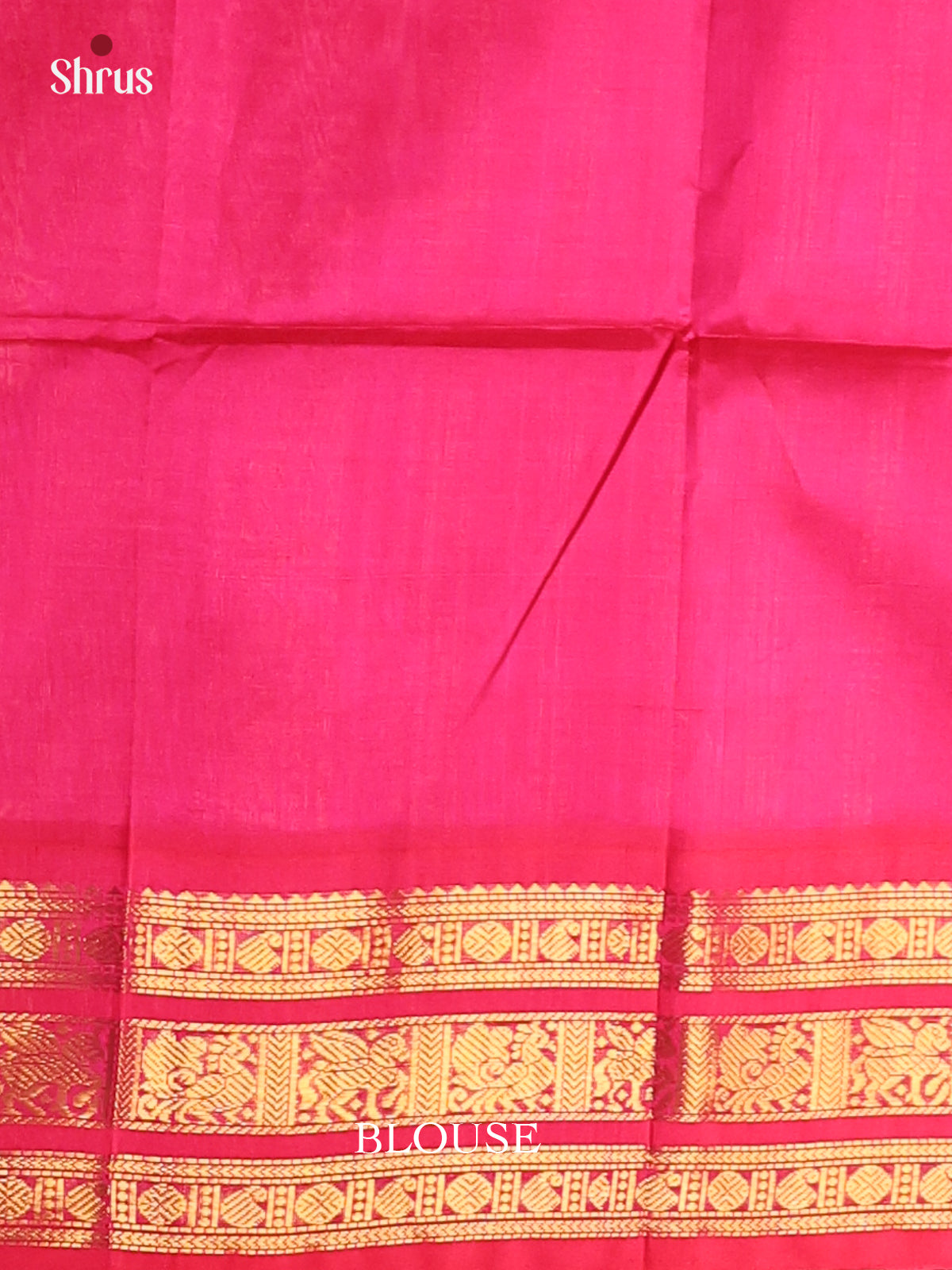 Blue & Pink - Silk Cotton Saree - Shop on Shrus.com