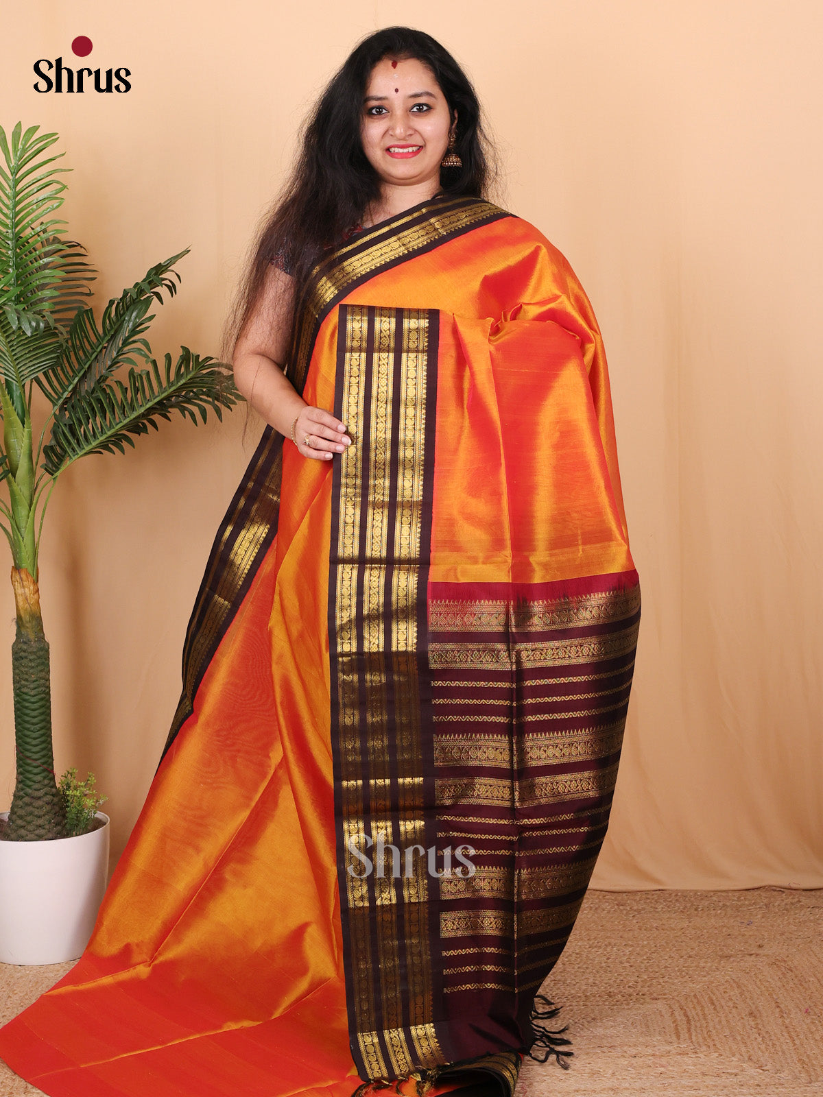 Orange & Brown - Silk Cotton Saree - Shop on Shrus.com