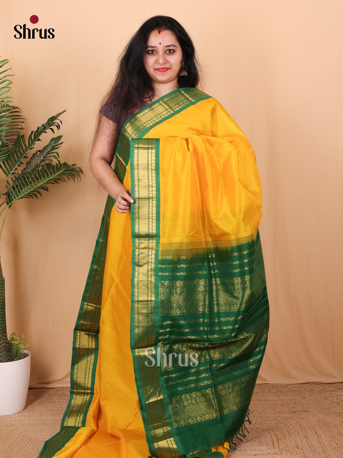 Yellow & Green- Silk Cotton Saree - Shop on Shrus.com