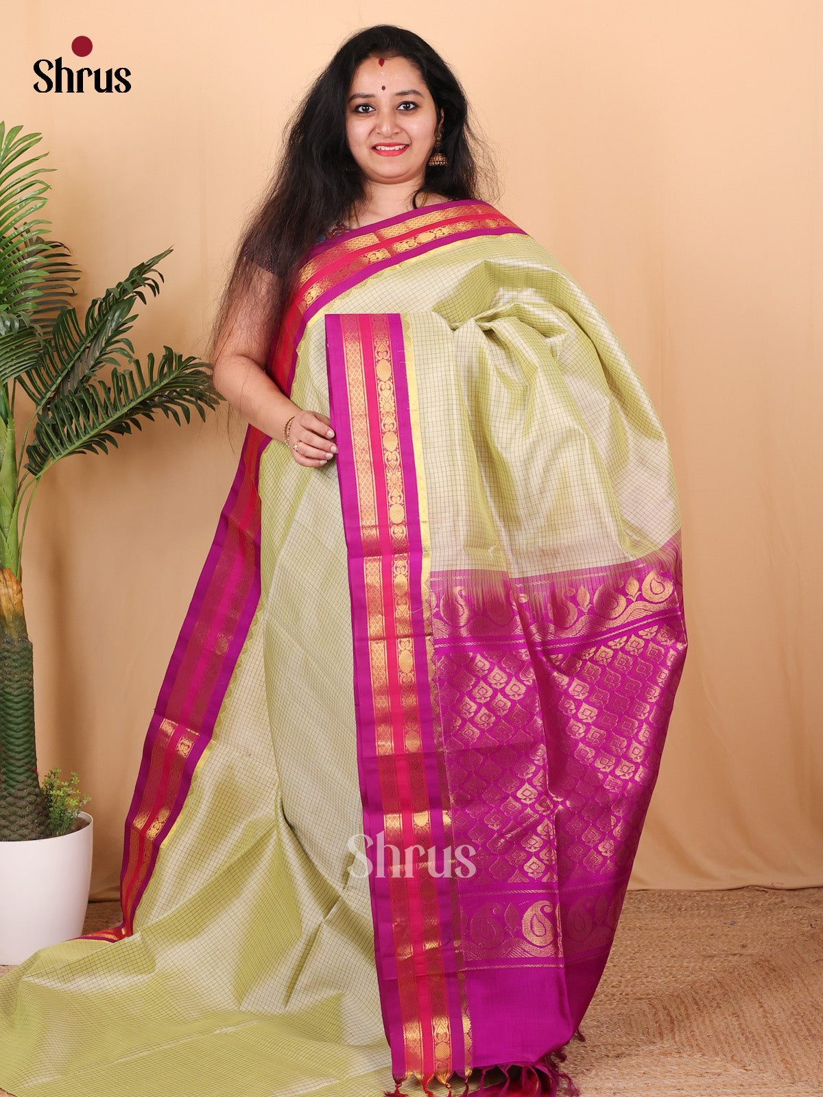 Pista Green & Purple - Silk Cotton Saree - Shop on Shrus.com