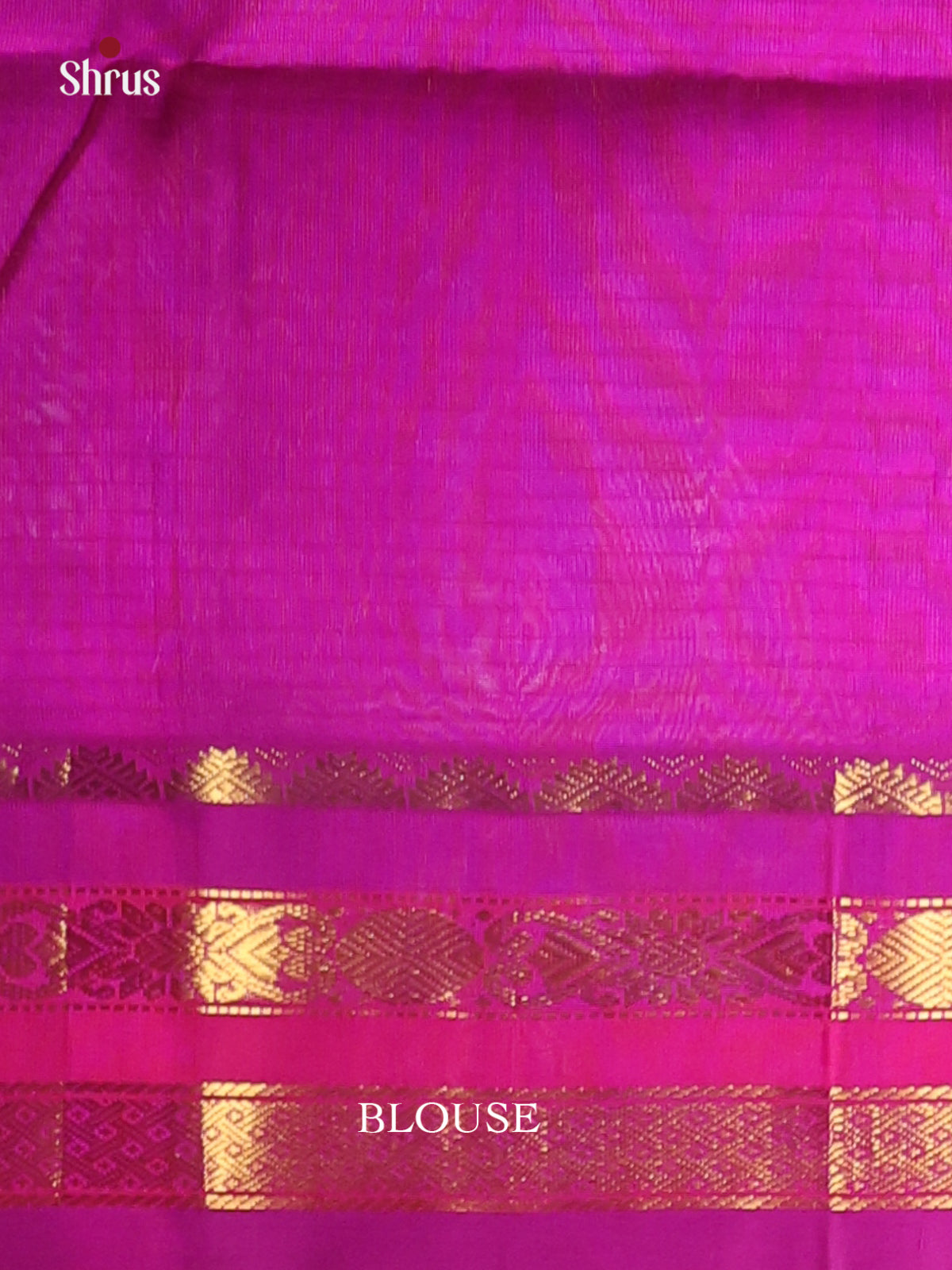 Pista Green & Purple - Silk Cotton Saree - Shop on Shrus.com