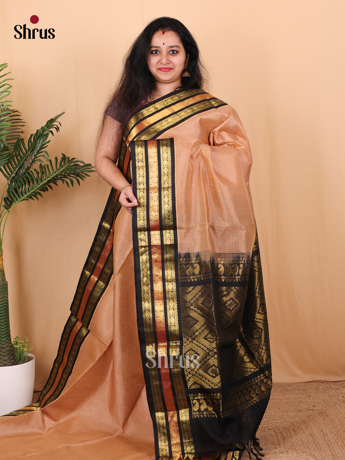 Dusty Brown & Black - Silk Cotton Saree - Shop on Shrus.com