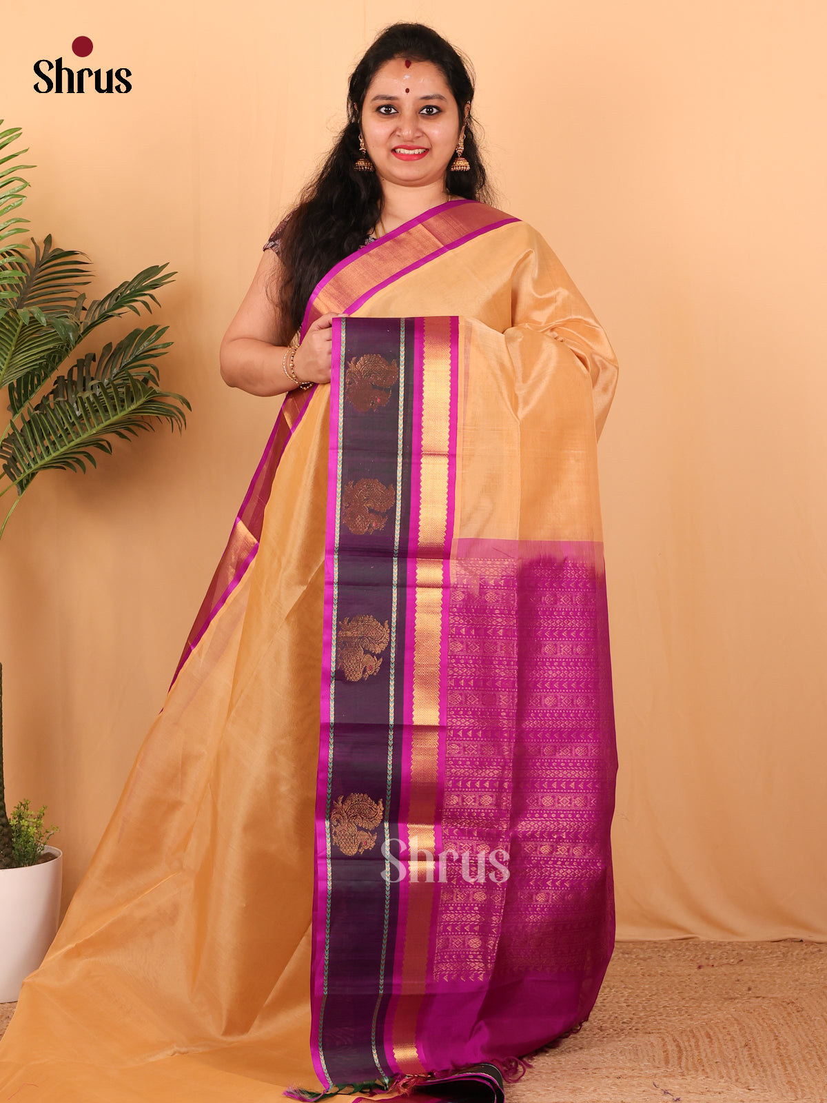Sandal & Majenta - Silk Cotton Saree - Shop on Shrus.com