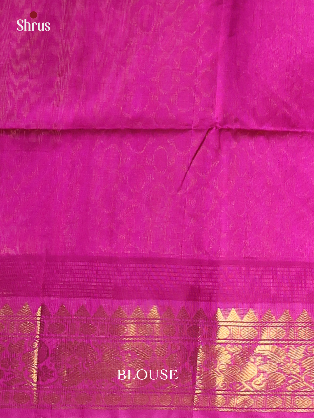 Pastel Blue & Majenta - Silk Cotton Saree - Shop on Shrus.com