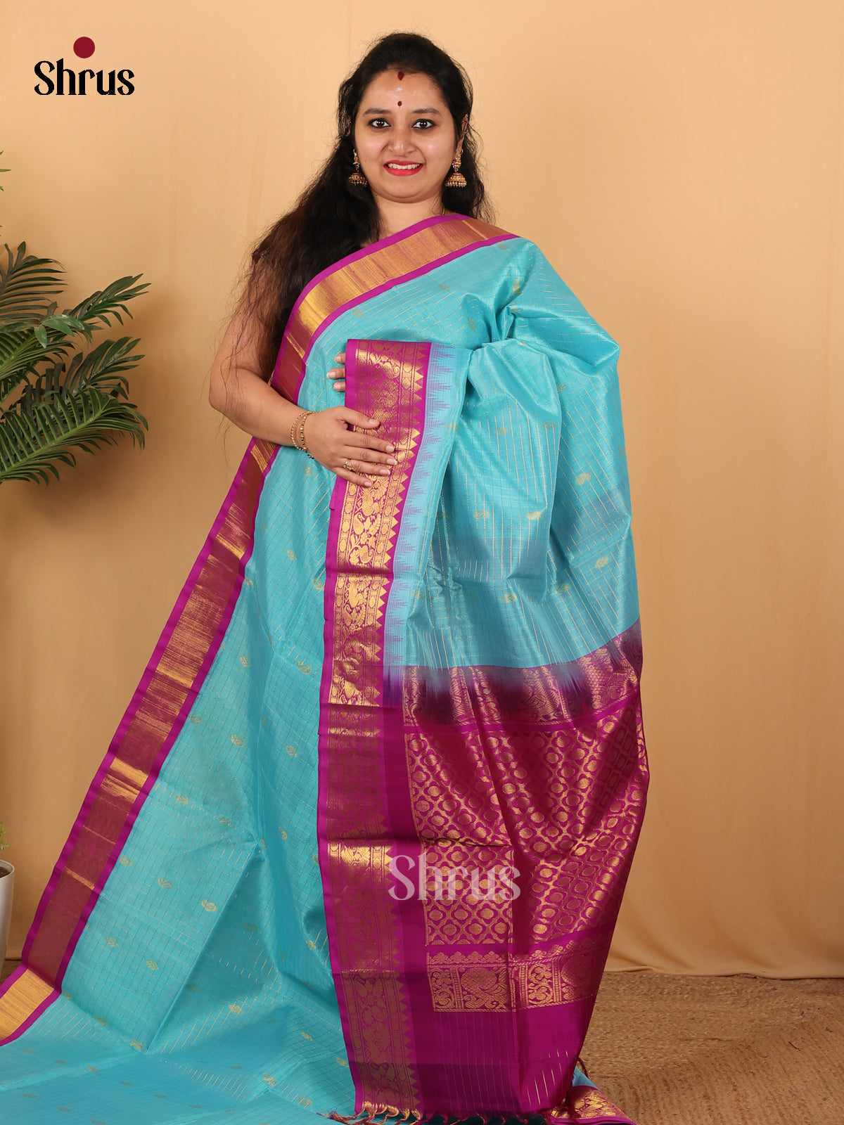 Blue & Majenta - Silk Cotton Saree - Shop on Shrus.com