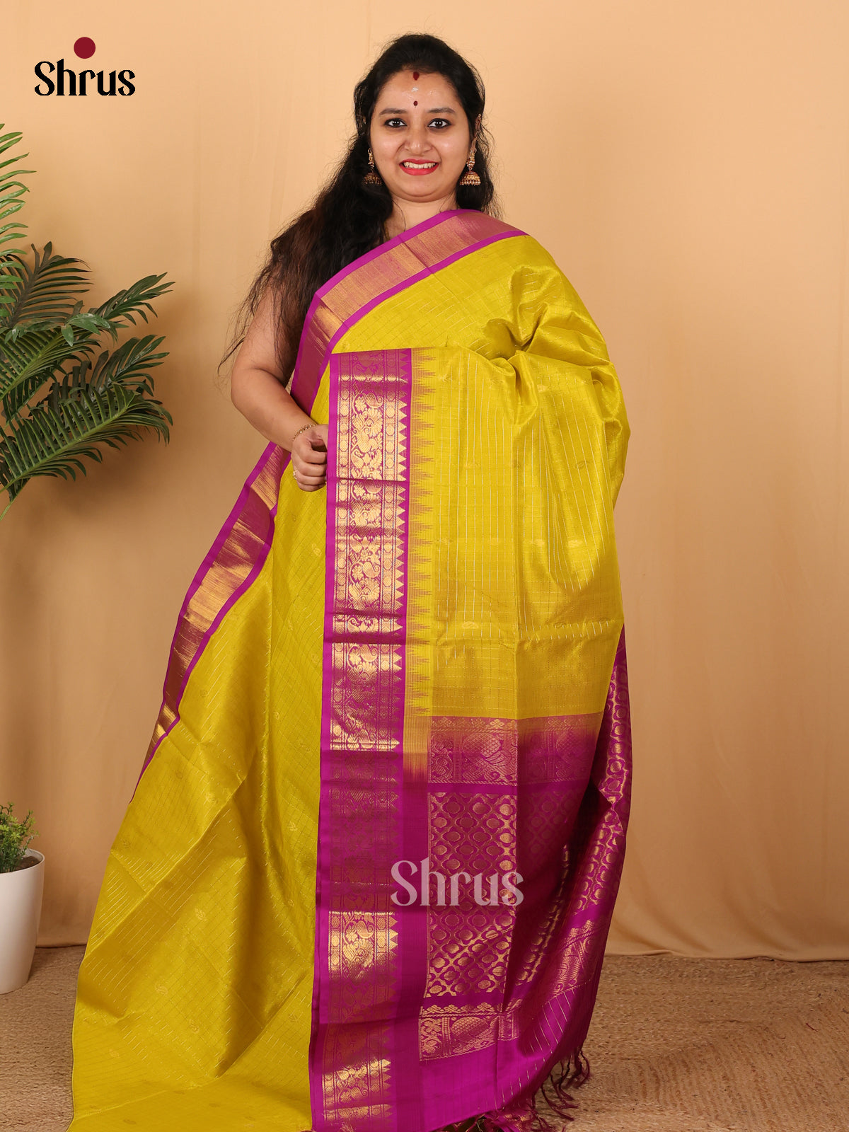 Mustardy Green & Majenta - Silk Cotton Saree - Shop on Shrus.com