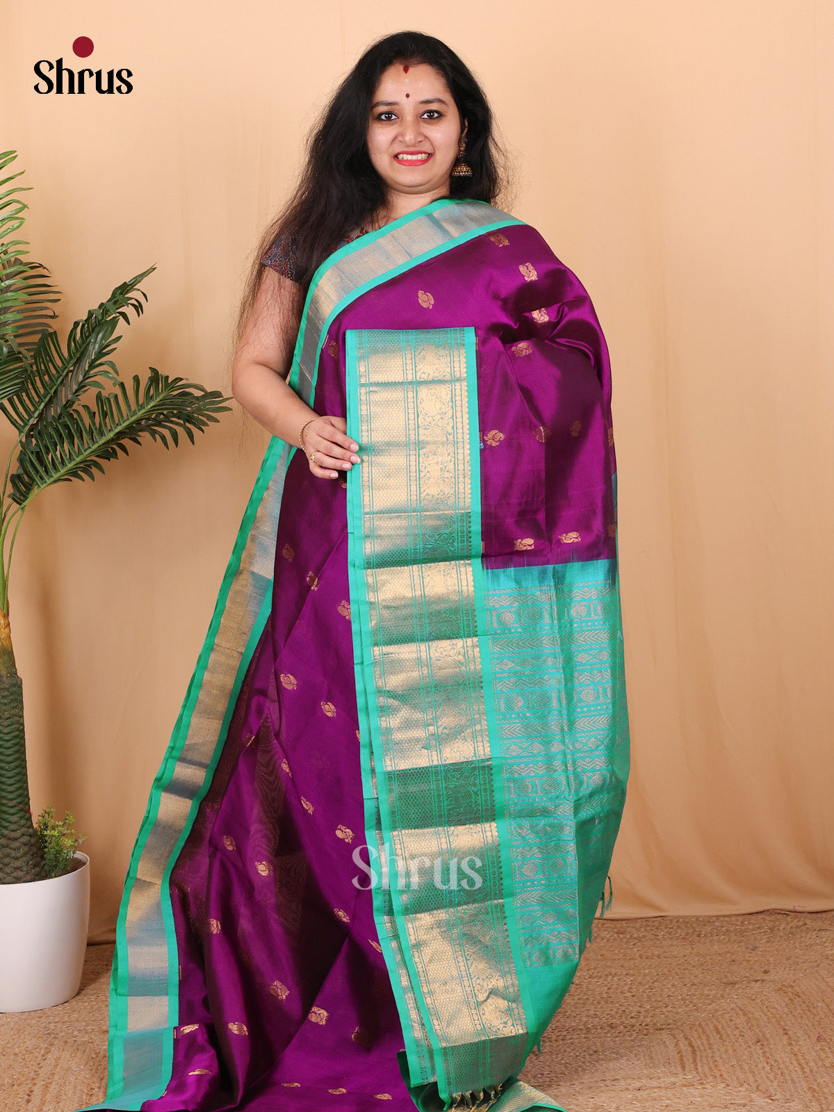 Violet & Teal- Silk Cotton Saree - Shop on Shrus.com