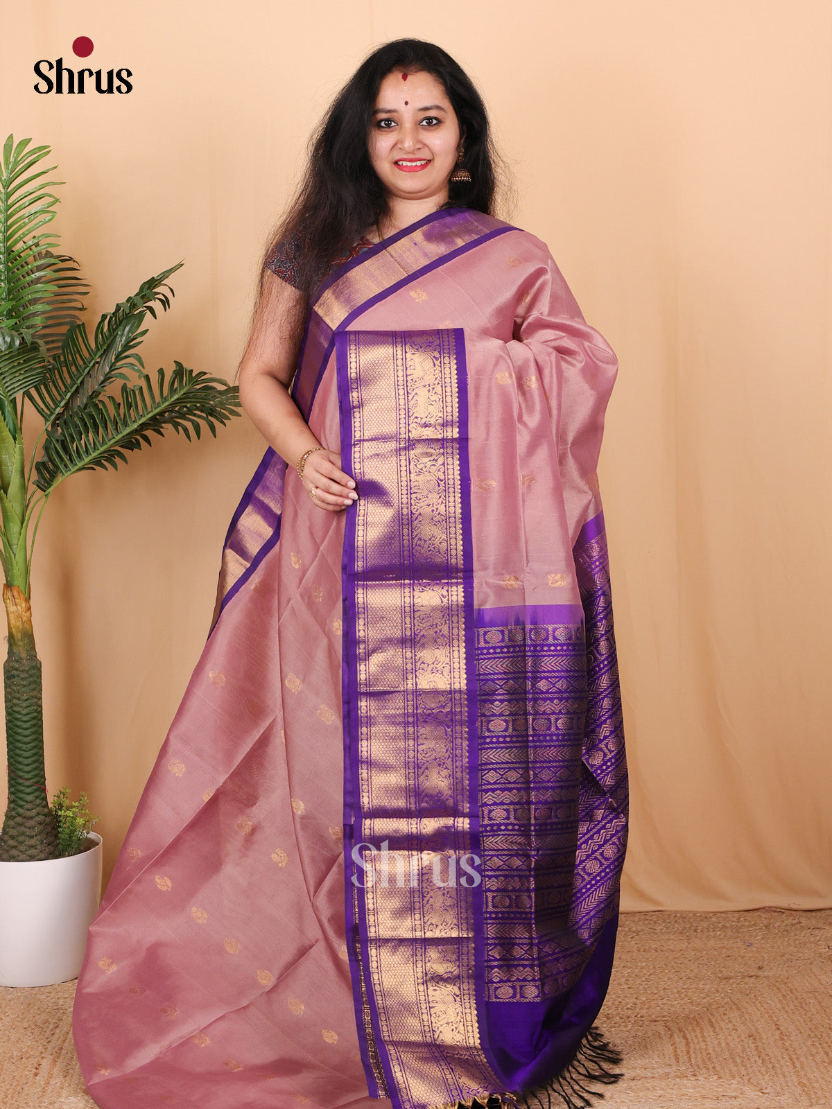 Dusty Pink & Violet - Silk Cotton Saree - Shop on Shrus.com