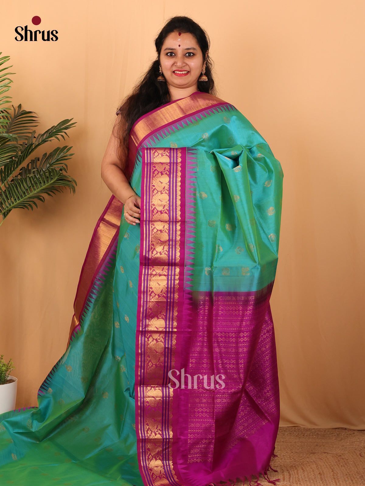 Green & Majenta - Silk Cotton Saree - Shop on Shrus.com