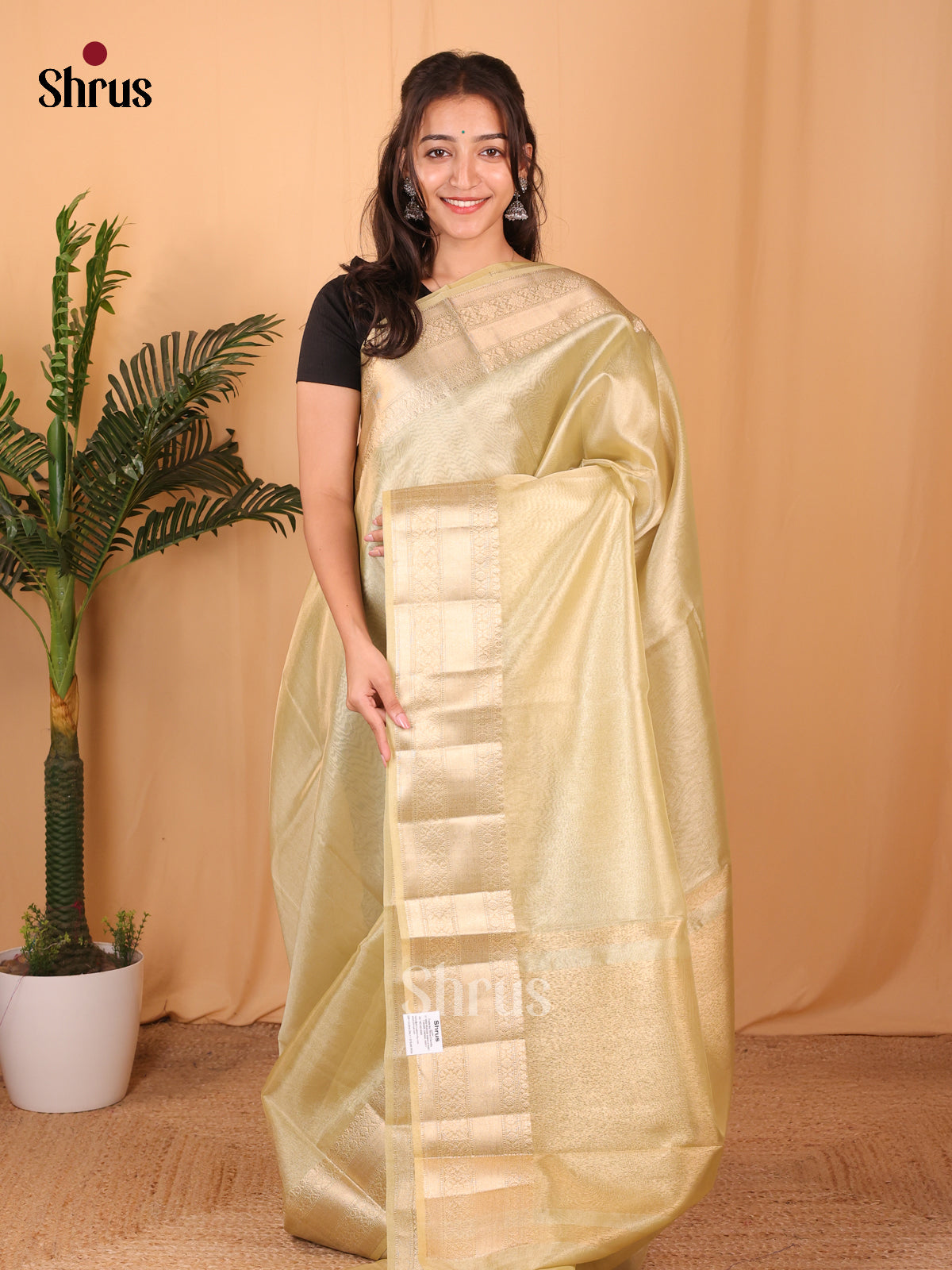 Lite Green- Semi Tissue Saree - Shop on Shrus.com