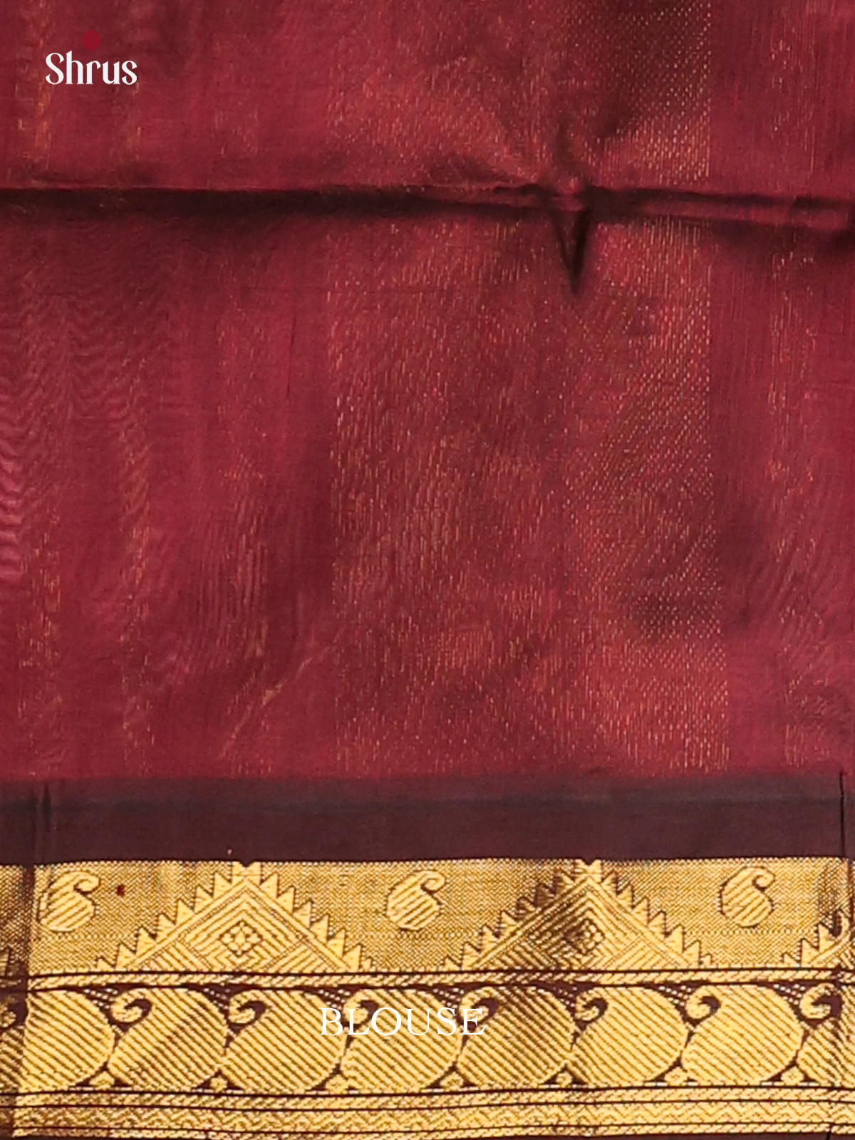 Pastel Green & Brown - Hindolam Saree - Shop on Shrus.com