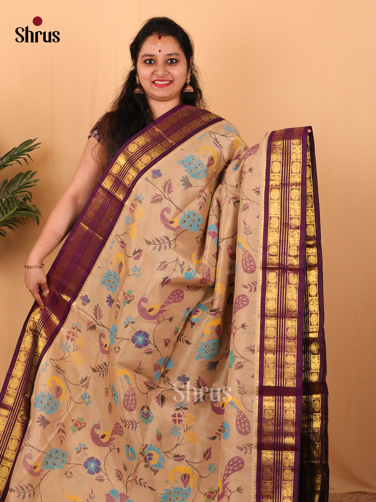 Beige & Purple - Hindolam Saree - Shop on Shrus.com