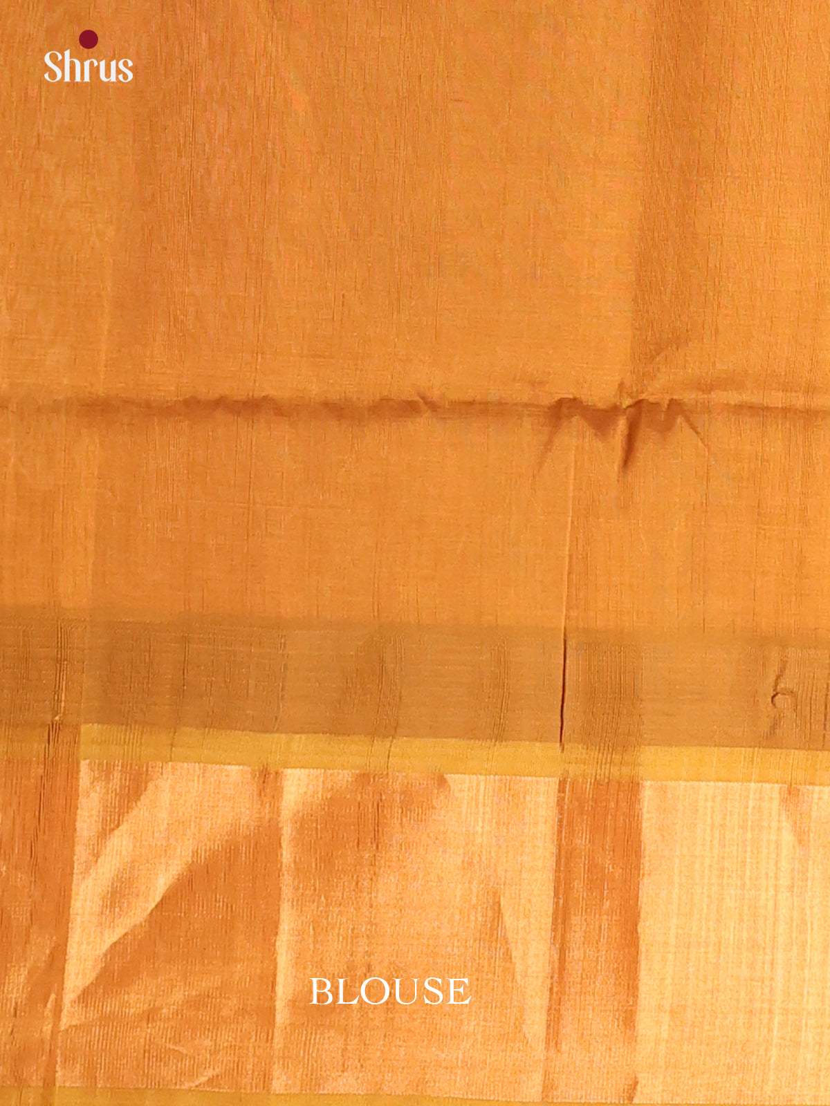 Cream & Dark Mustard - Hindolam Saree - Shop on Shrus.com