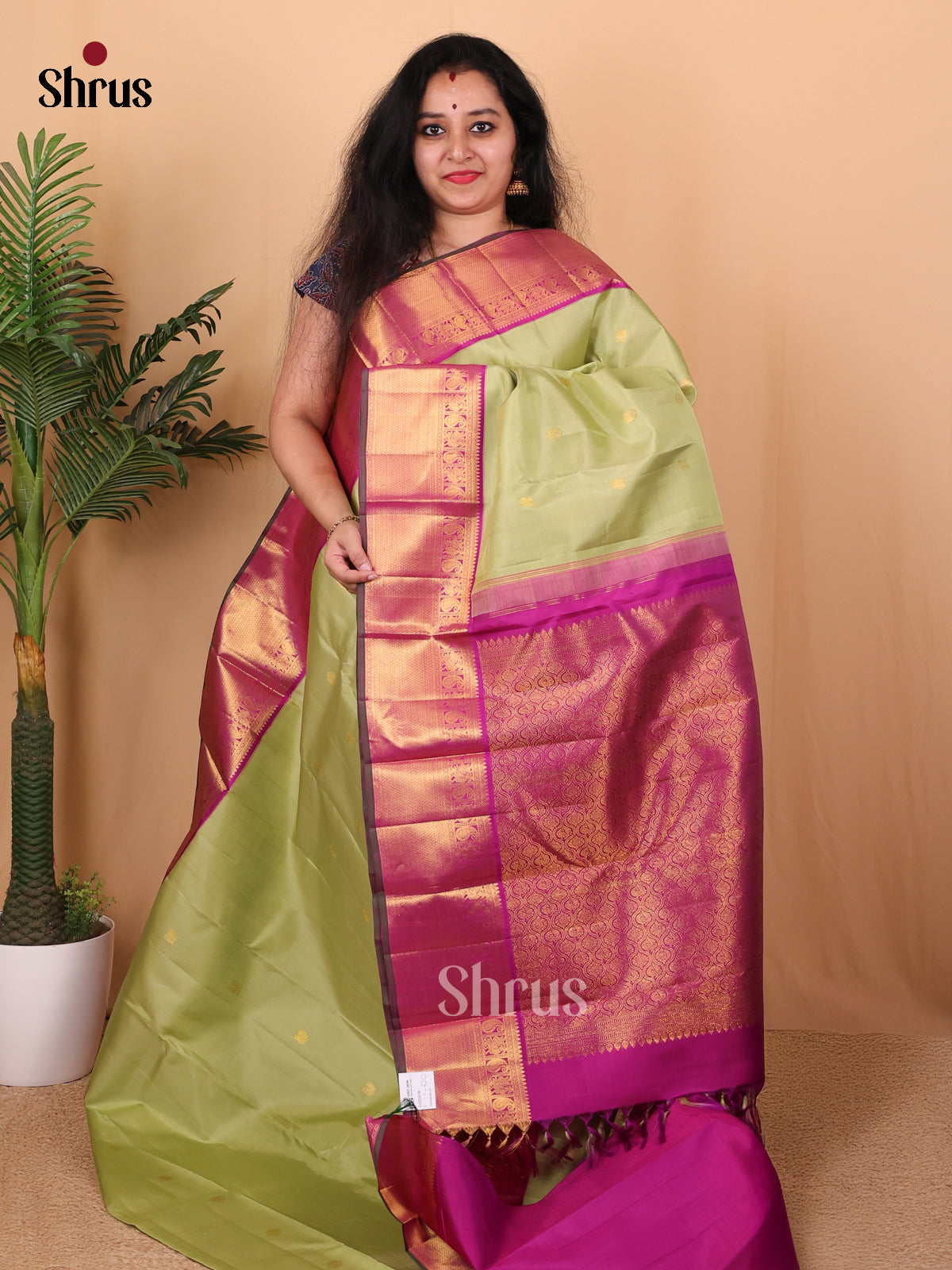 Pista Green & Majenta - Kanchipuram silk Saree - Shop on Shrus.com