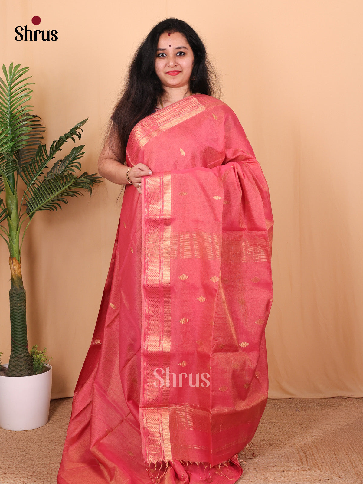 Pink(single Tone) - Maheshwari silkcotton Saree - Shop on Shrus.com