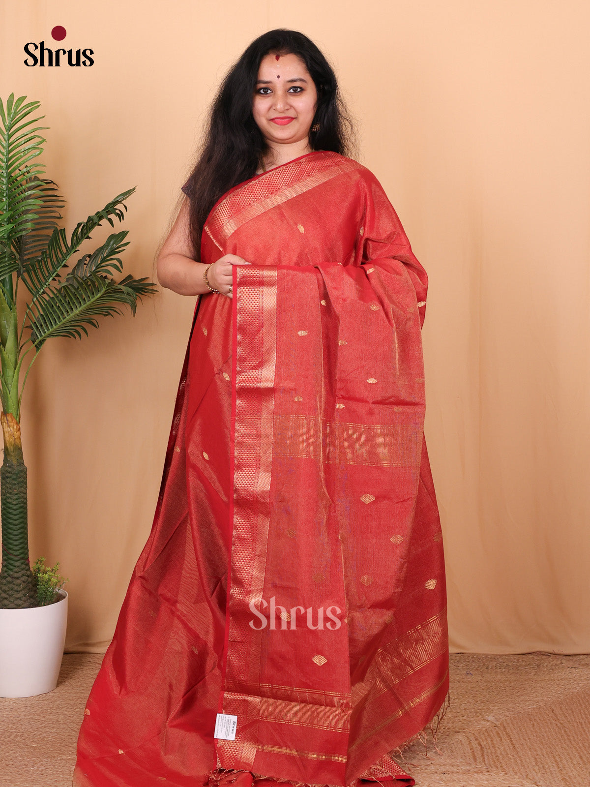 Red(Single Tone)- Maheshwari silkcotton Saree - Shop on Shrus.com