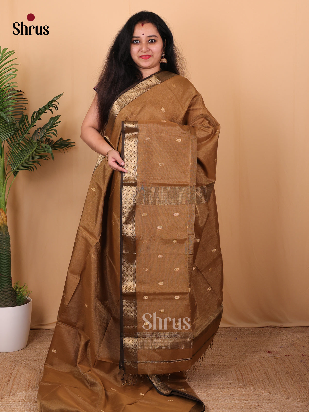 Brown - Maheshwari silkcotton Saree - Shop on Shrus.com