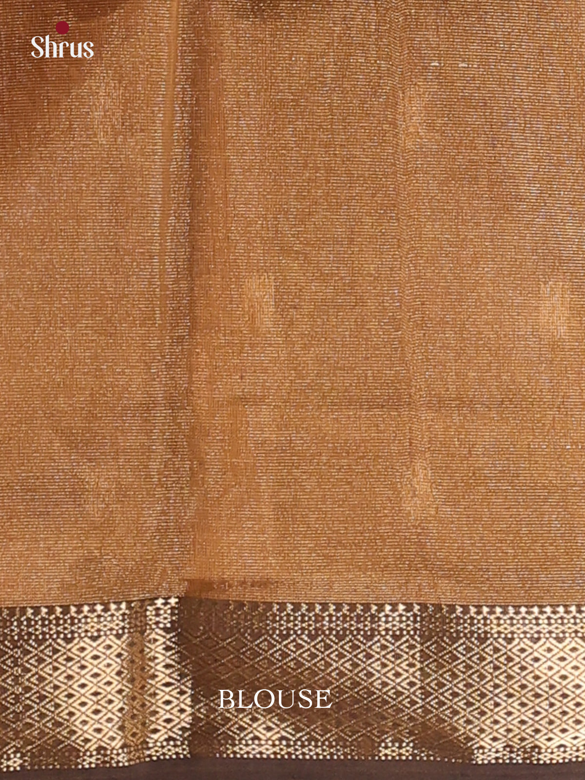 Brown - Maheshwari silkcotton Saree - Shop on Shrus.com