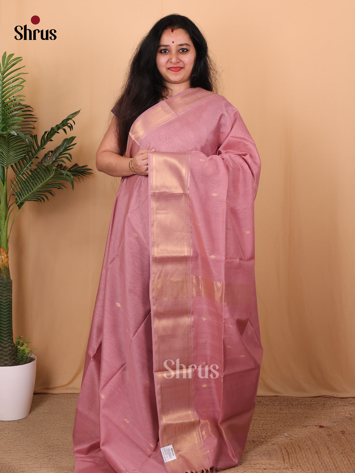 Dusty Pink(Single Tone)- Maheshwari silkcotton Saree - Shop on Shrus.com