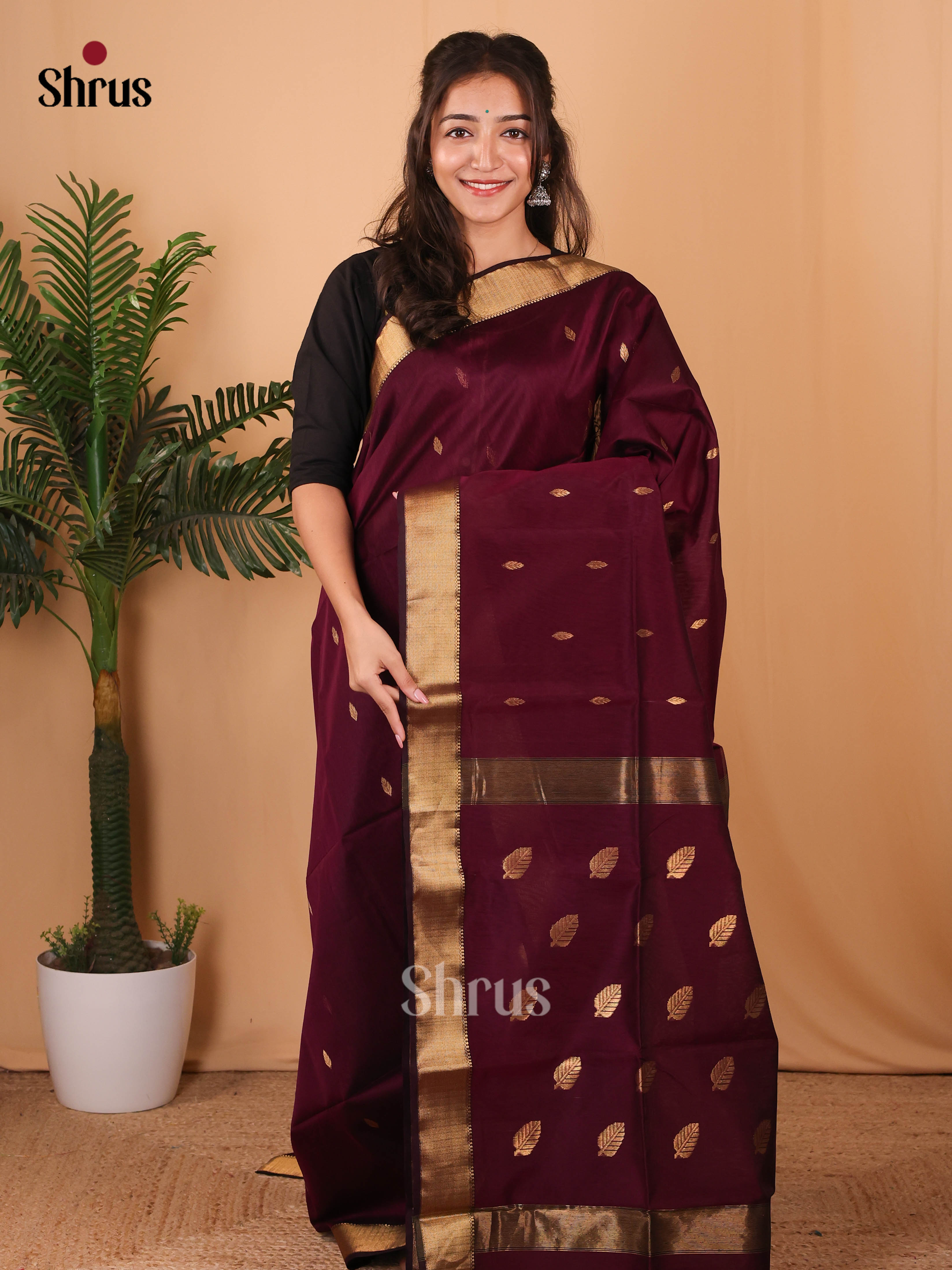 Wine(Single Tone) - Maheshwari silkcotton Saree - Shop on Shrus.com