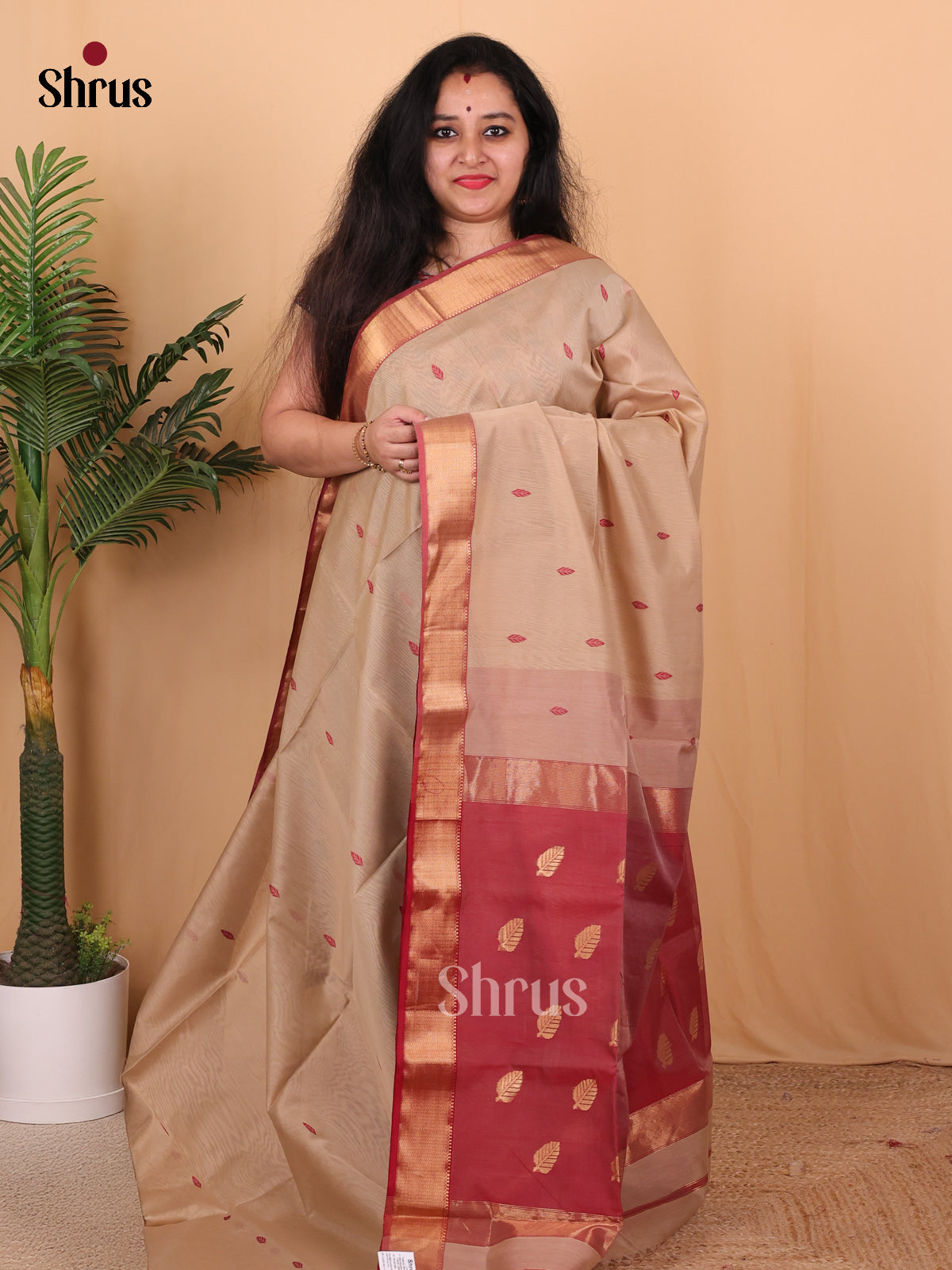 Beige & Maroon - Maheshwari silkcotton Saree - Shop on Shrus.com