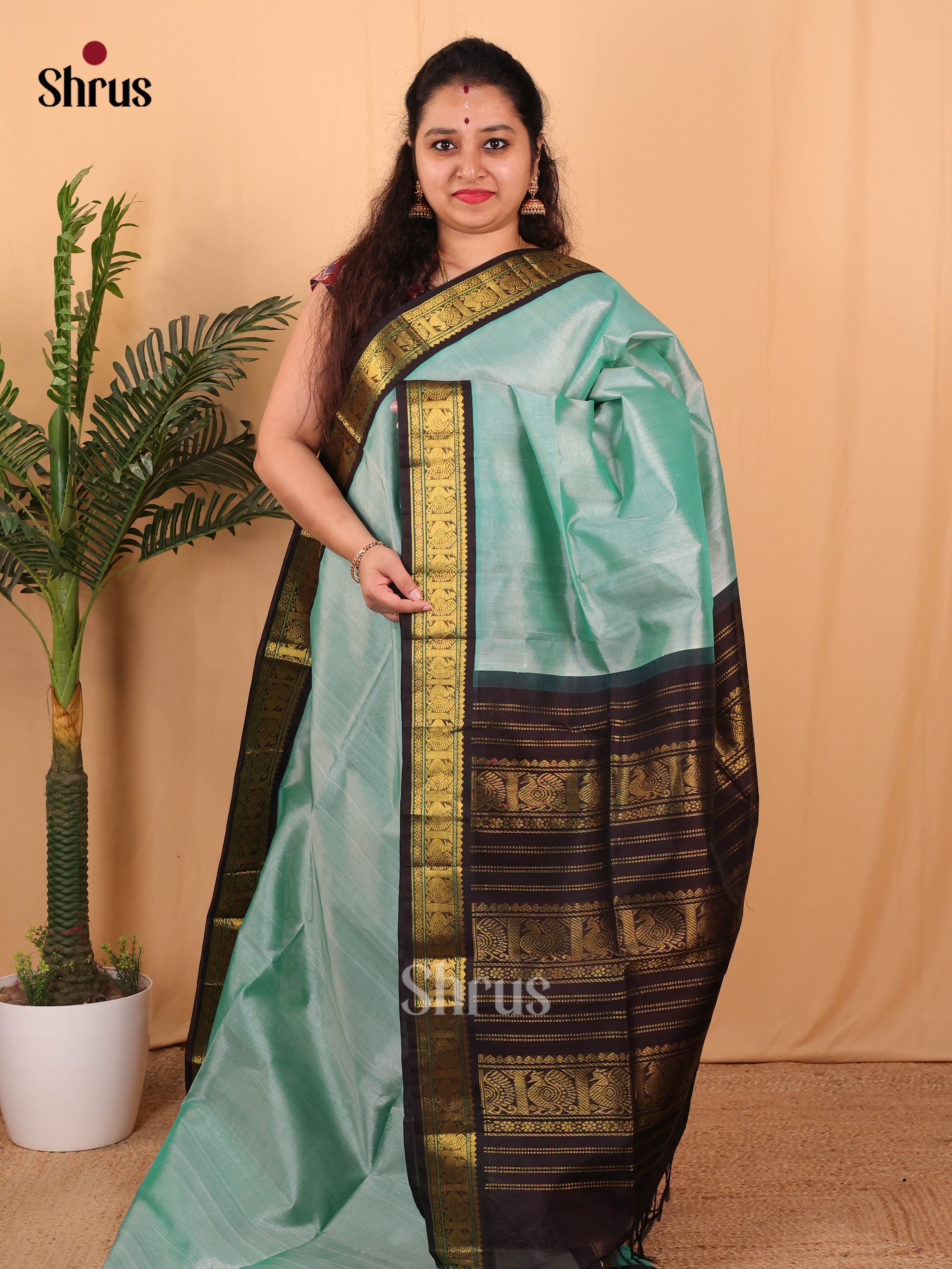Pastel Green & Brown - Silk Cotton Saree - Shop on Shrus.com