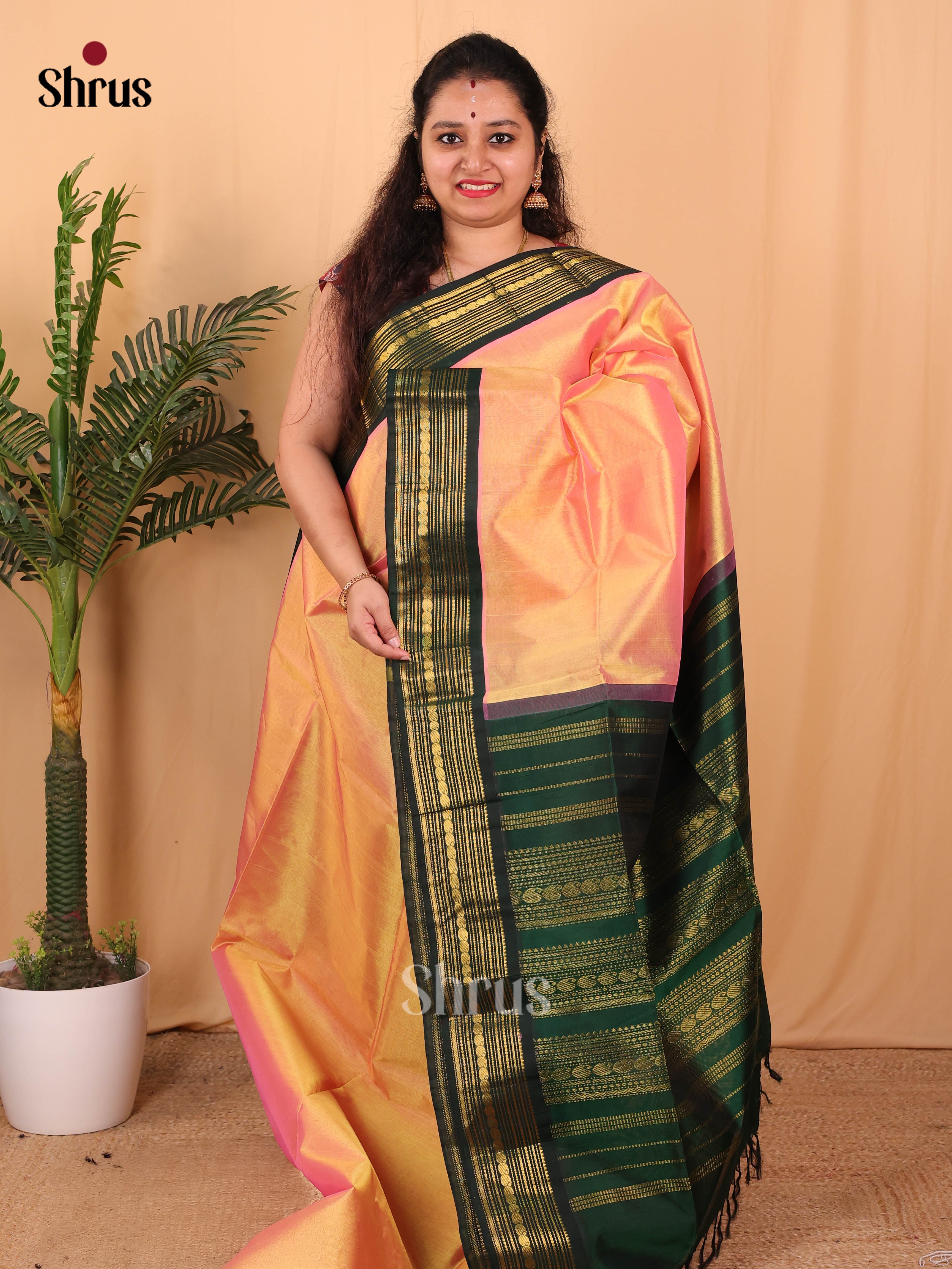 Peach & Green - Silk Cotton Saree - Shop on Shrus.com