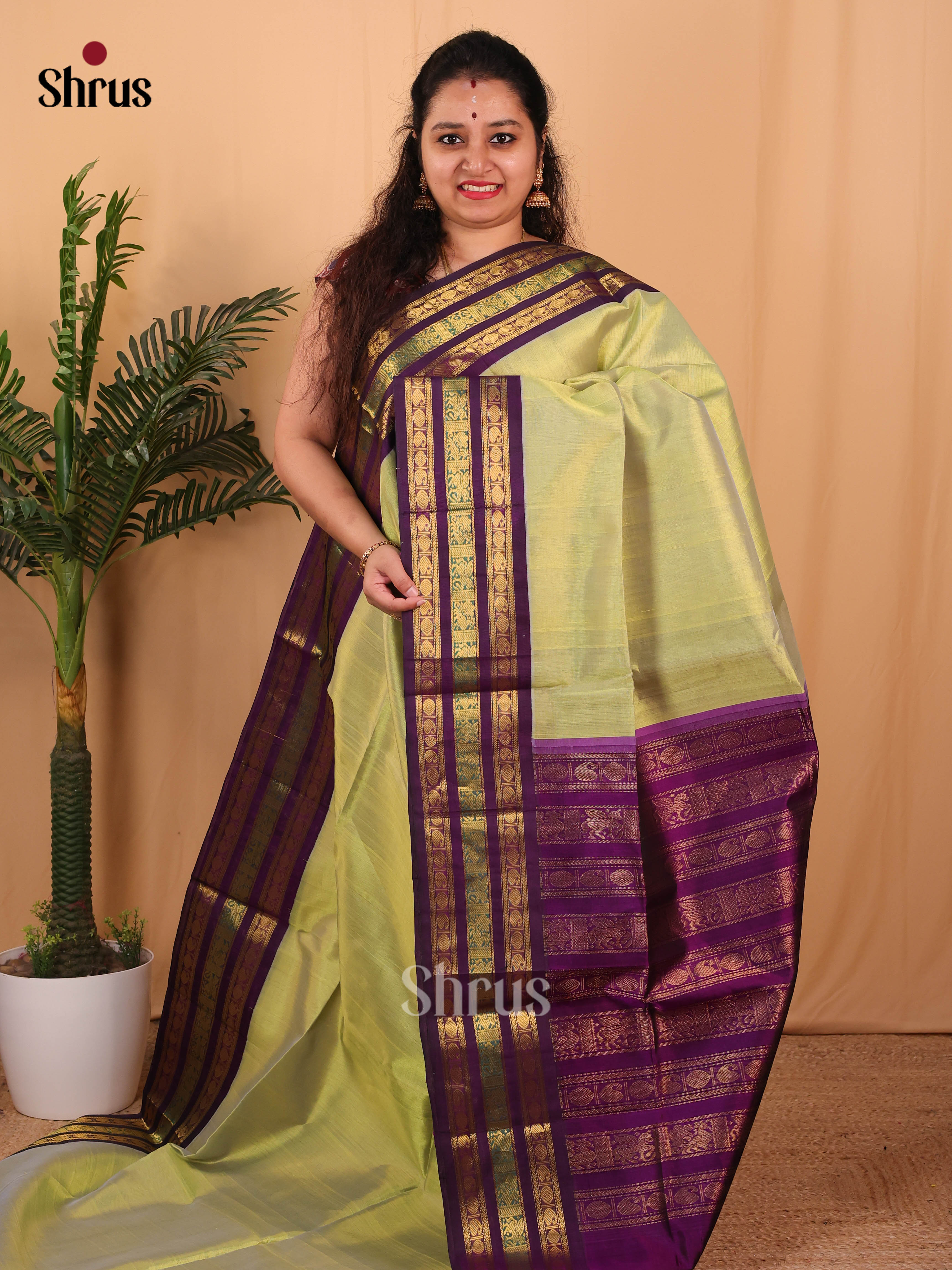 Pista Green & Violet - Silk Cotton Saree - Shop on Shrus.com