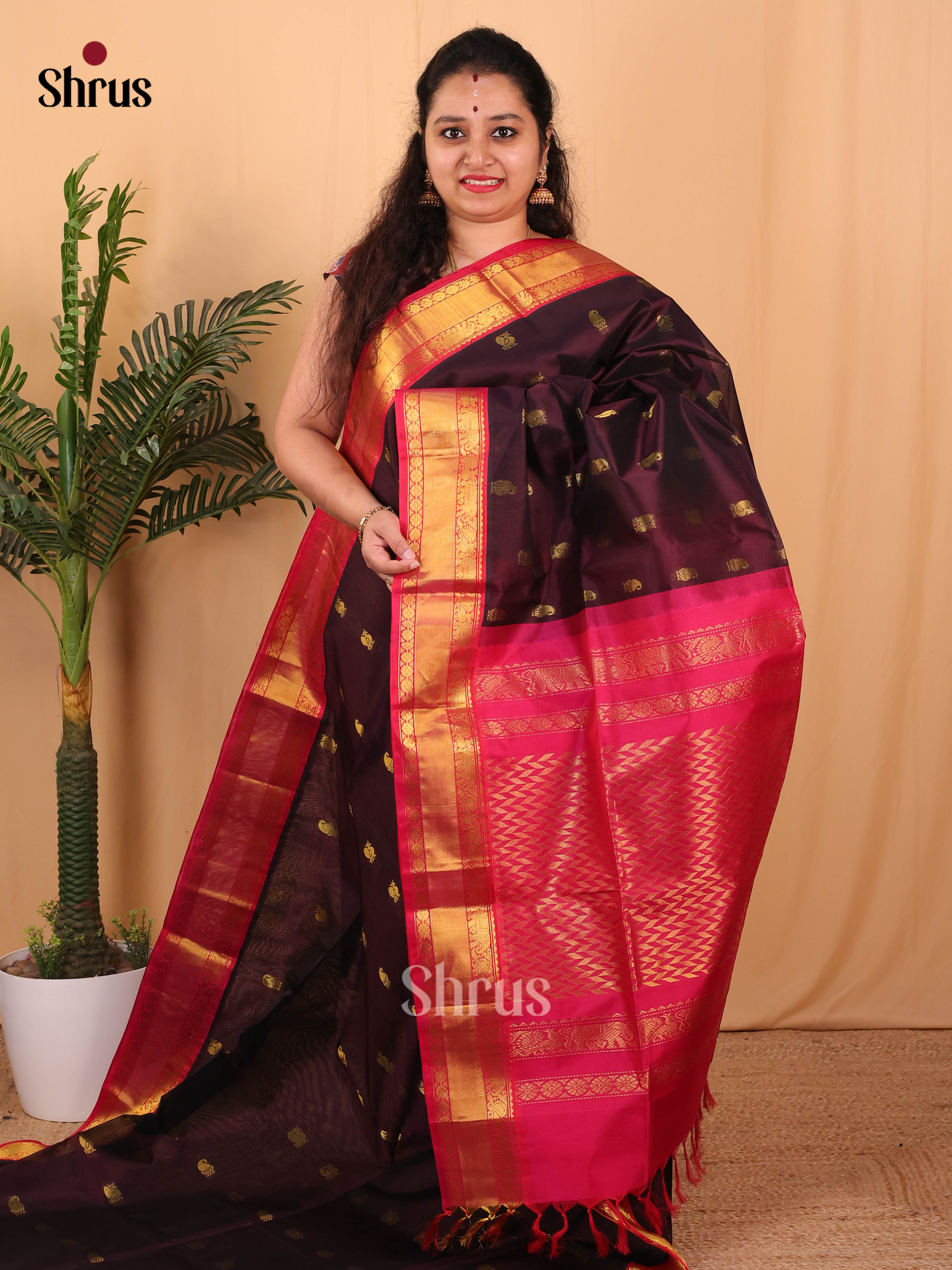 Jamun & Maroon- Silk Cotton Saree - Shop on Shrus.com