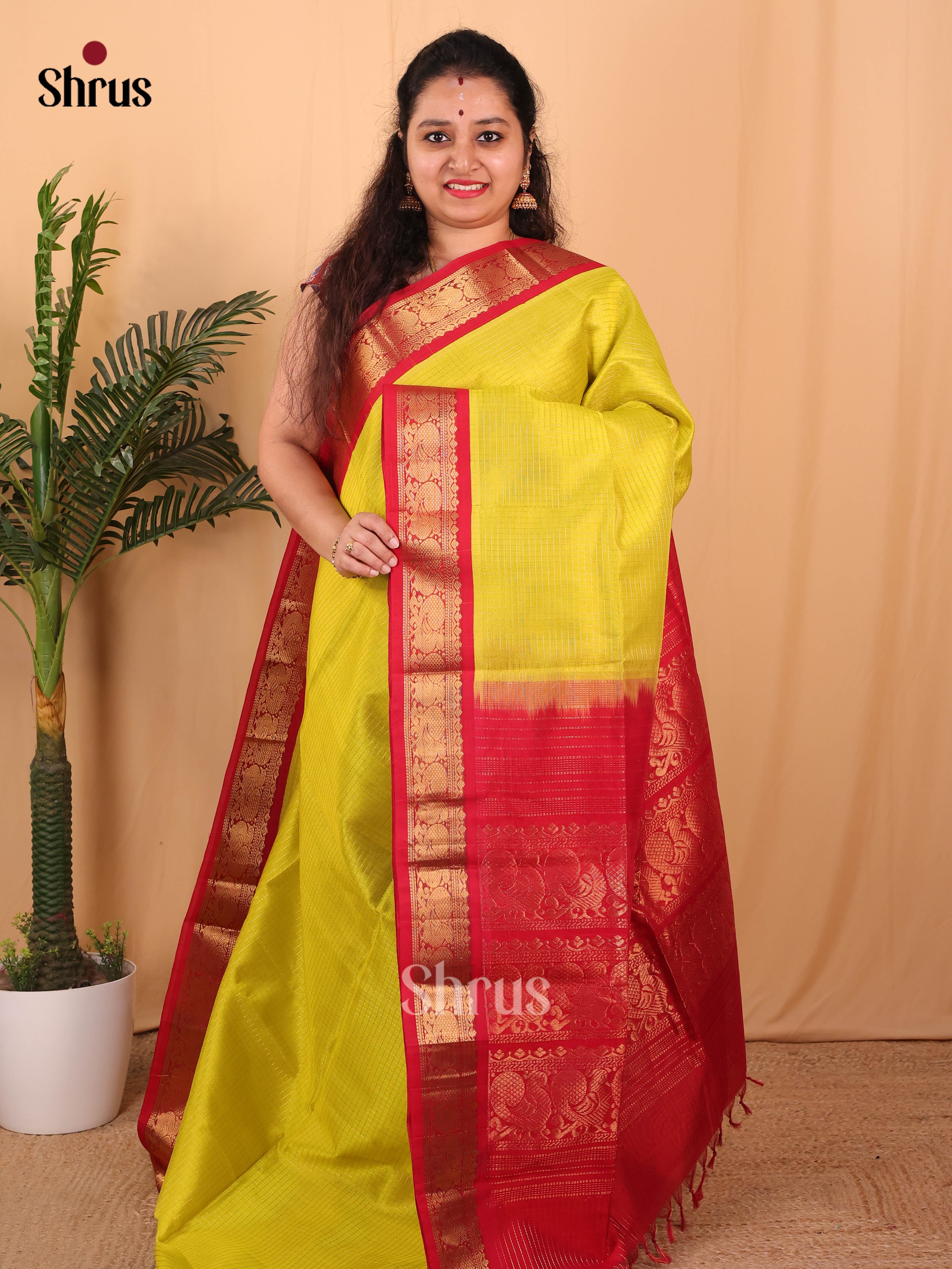 Lime Green & Red - Silk Cotton Saree - Shop on Shrus.com