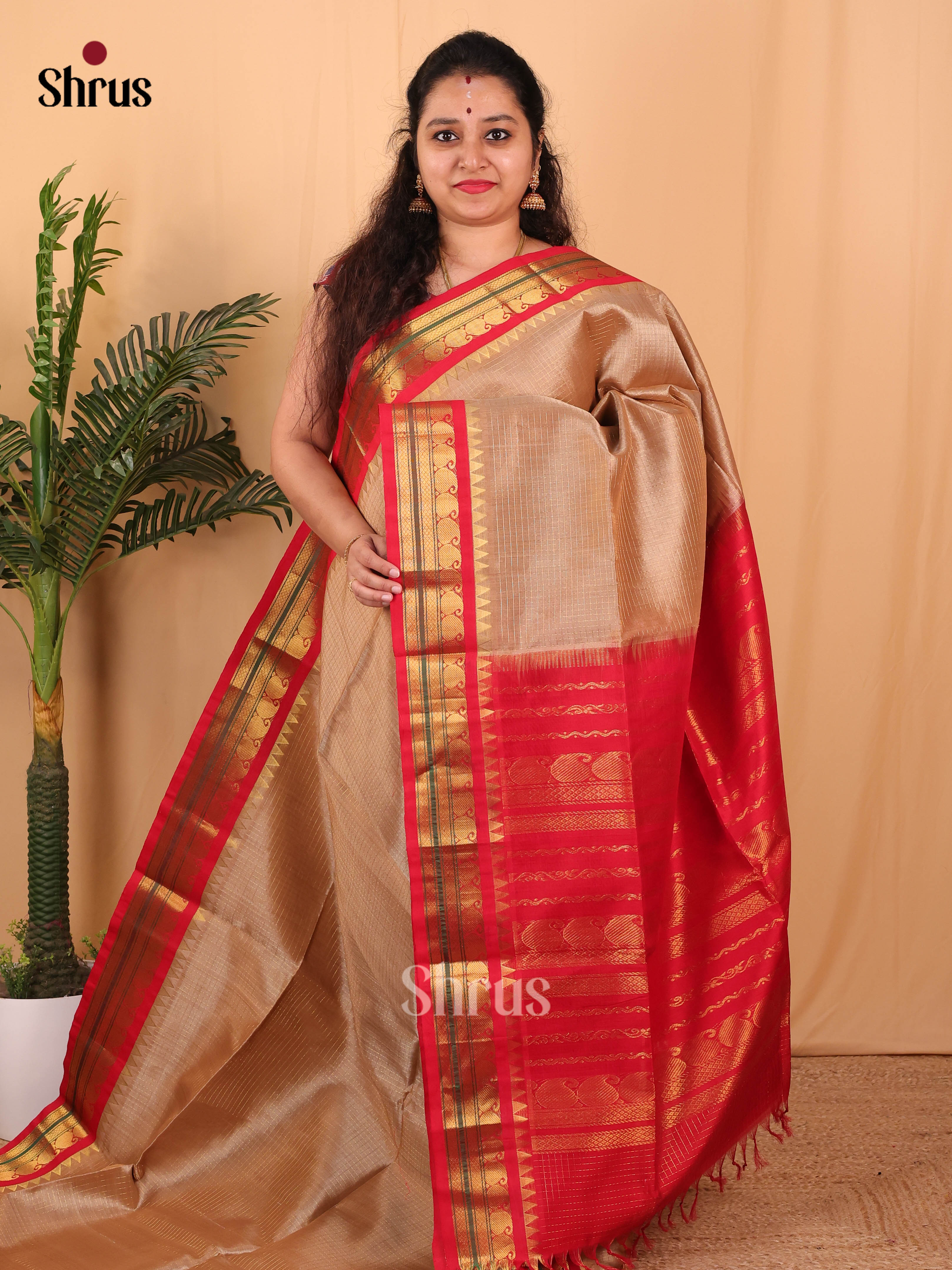 DAS28166 - Silk Cotton Saree - Shop on Shrus.com