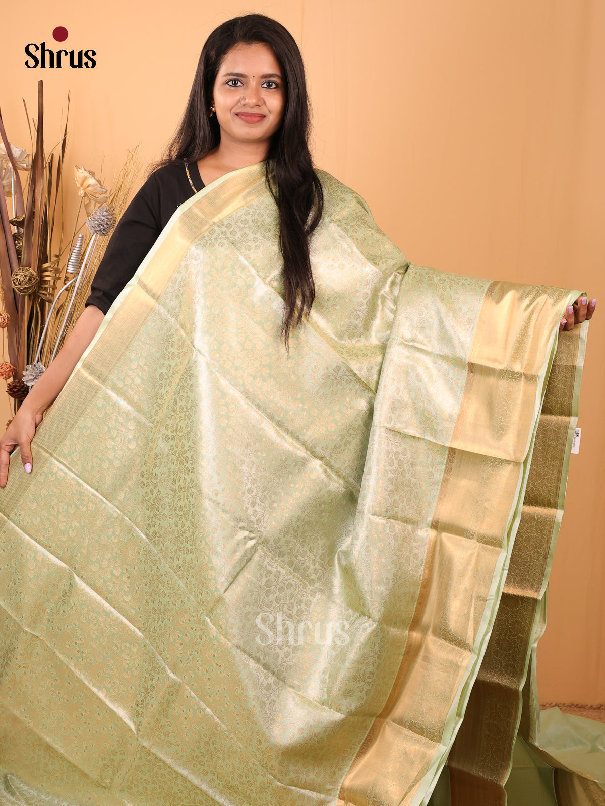 Pastel Green - Kanchipuram-halfpure Saree - Shop on Shrus.com