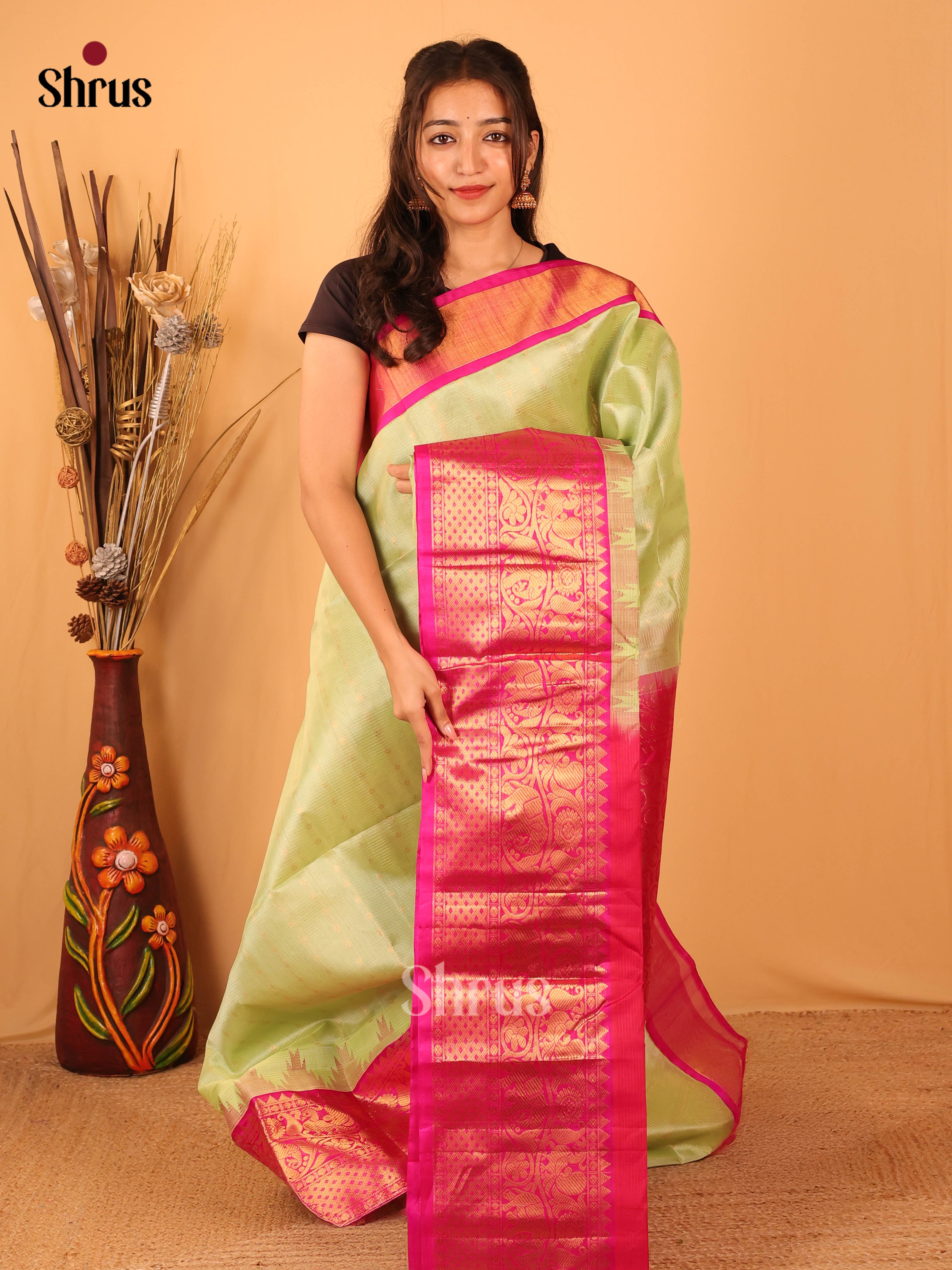 Pista Green & Pink - Silk Cotton Saree - Shop on Shrus.com