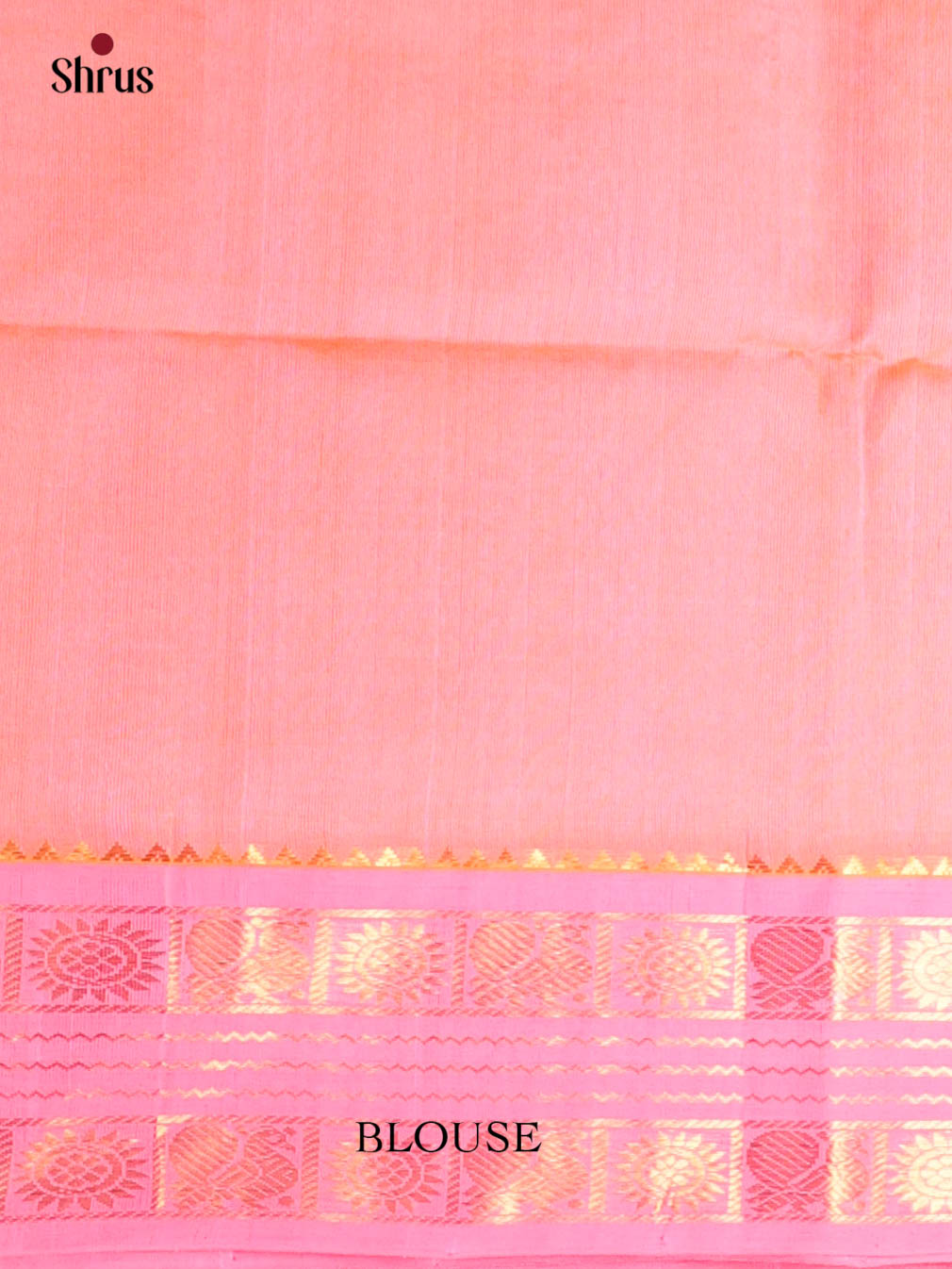 Cream & Pink - Silk Cotton Saree - Shop on Shrus.com