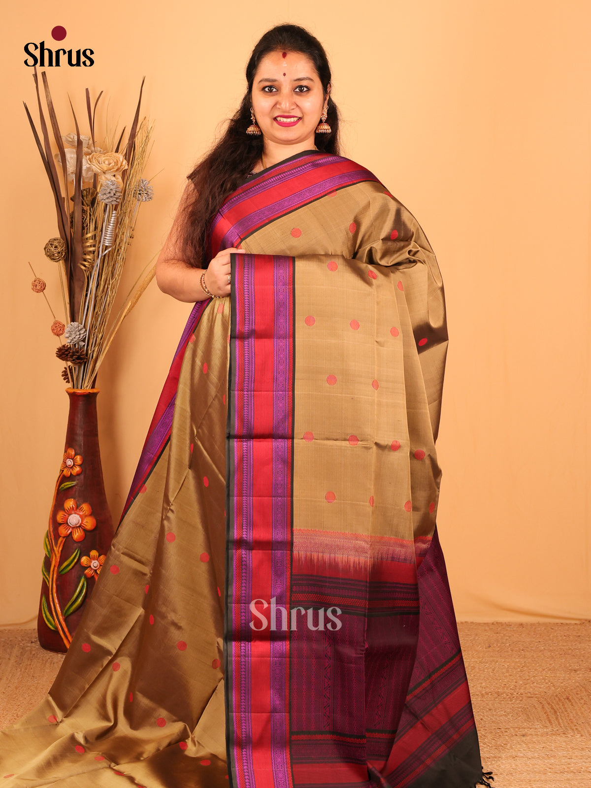 Beige & Red  - Soft Silk Saree - Shop on Shrus.com