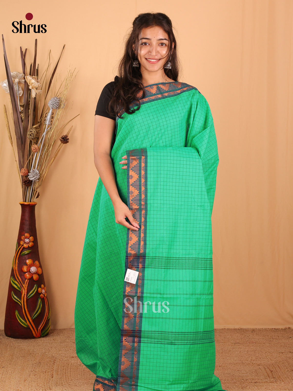 Pastel Green & Blue  - Chettinad Mix  Cotton Saree - Shop on Shrus.com