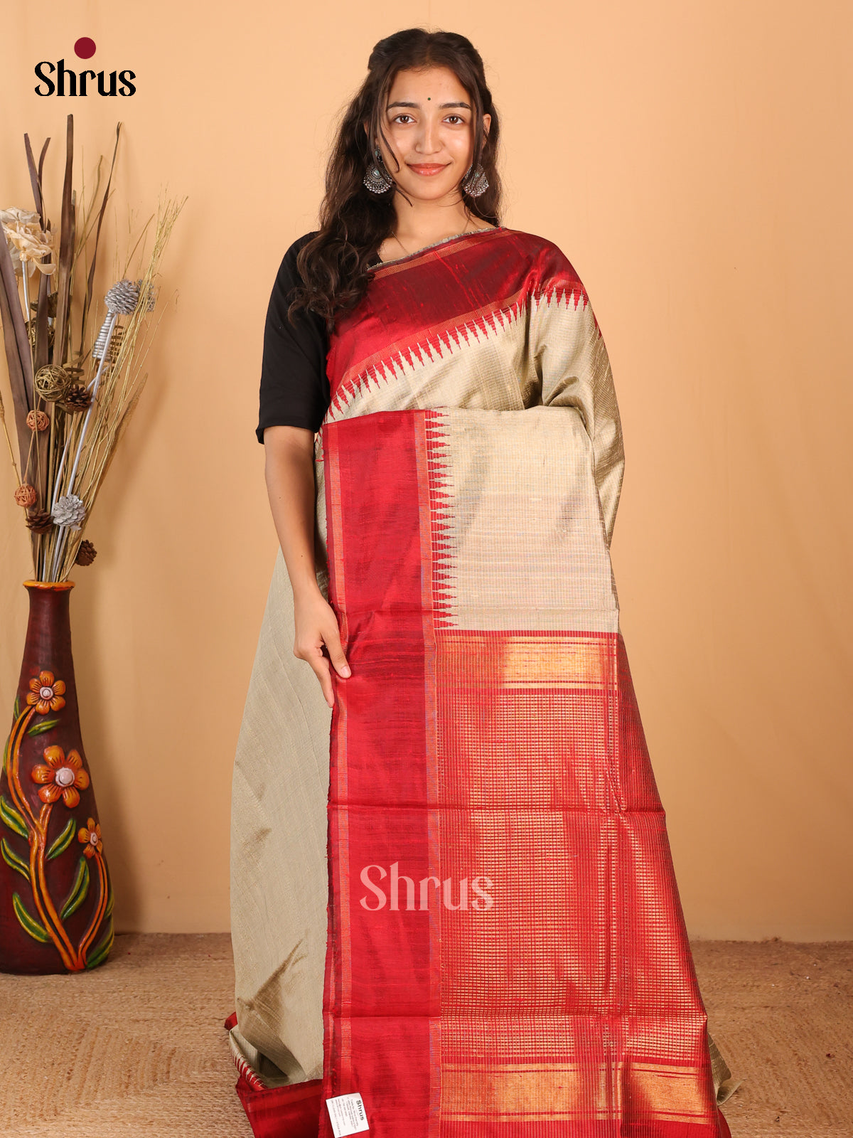 DCS05062 - Raw Silk Saree - Shop on Shrus.com