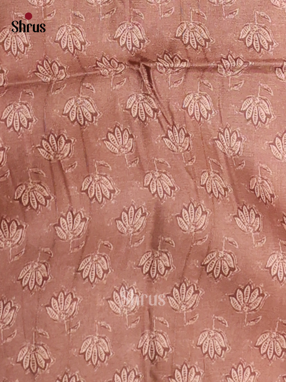 Cream &  Brown - Champa Semitussa Saree - DCS11029 - Shop on Shrus.com