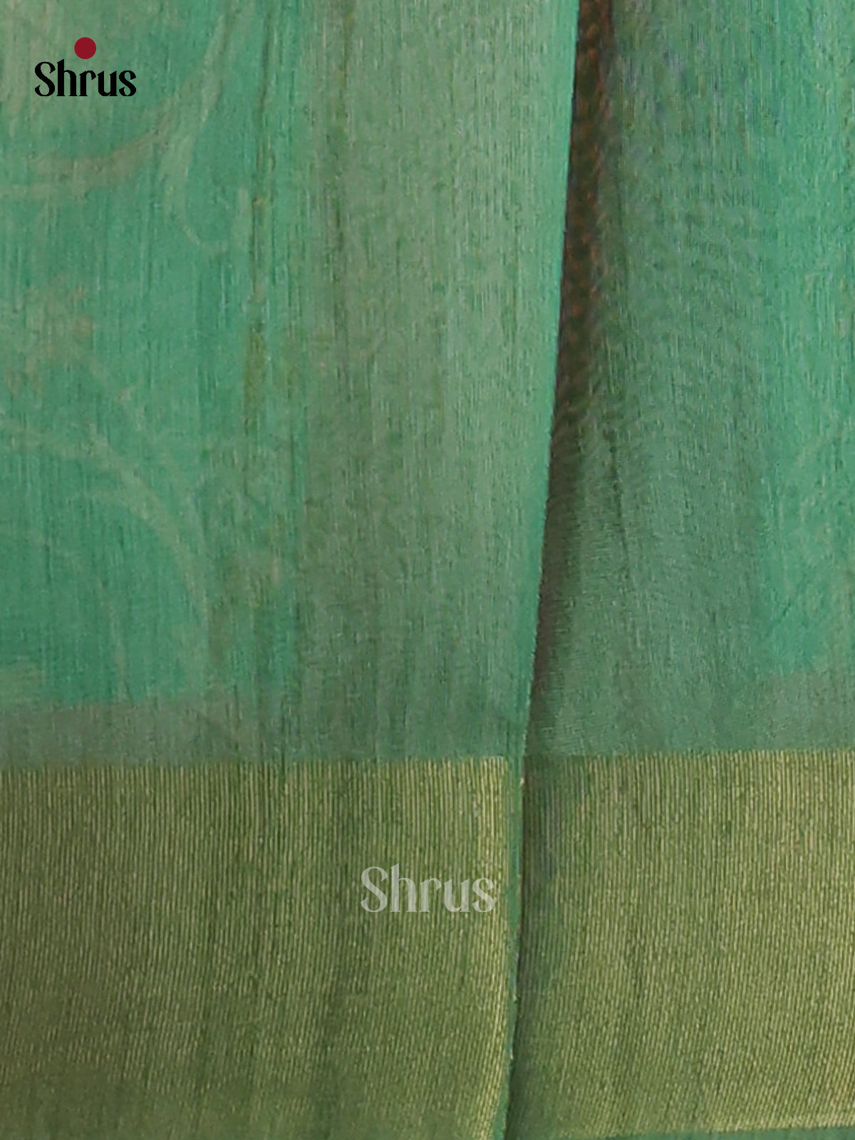 Dark onion  Pink & Green - Champa Semitussa Saree - DCS11183 - Shop on Shrus.com