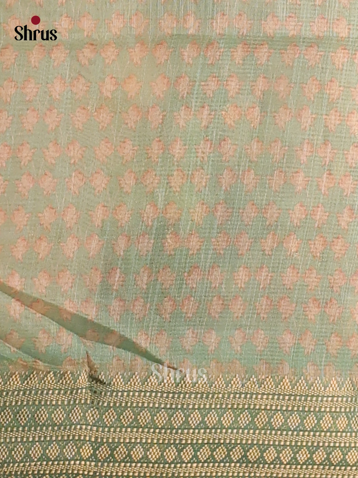 Pastel Green & Golden colour - Champa  Semitussar Saree - DCS11190 - Shop on Shrus.com